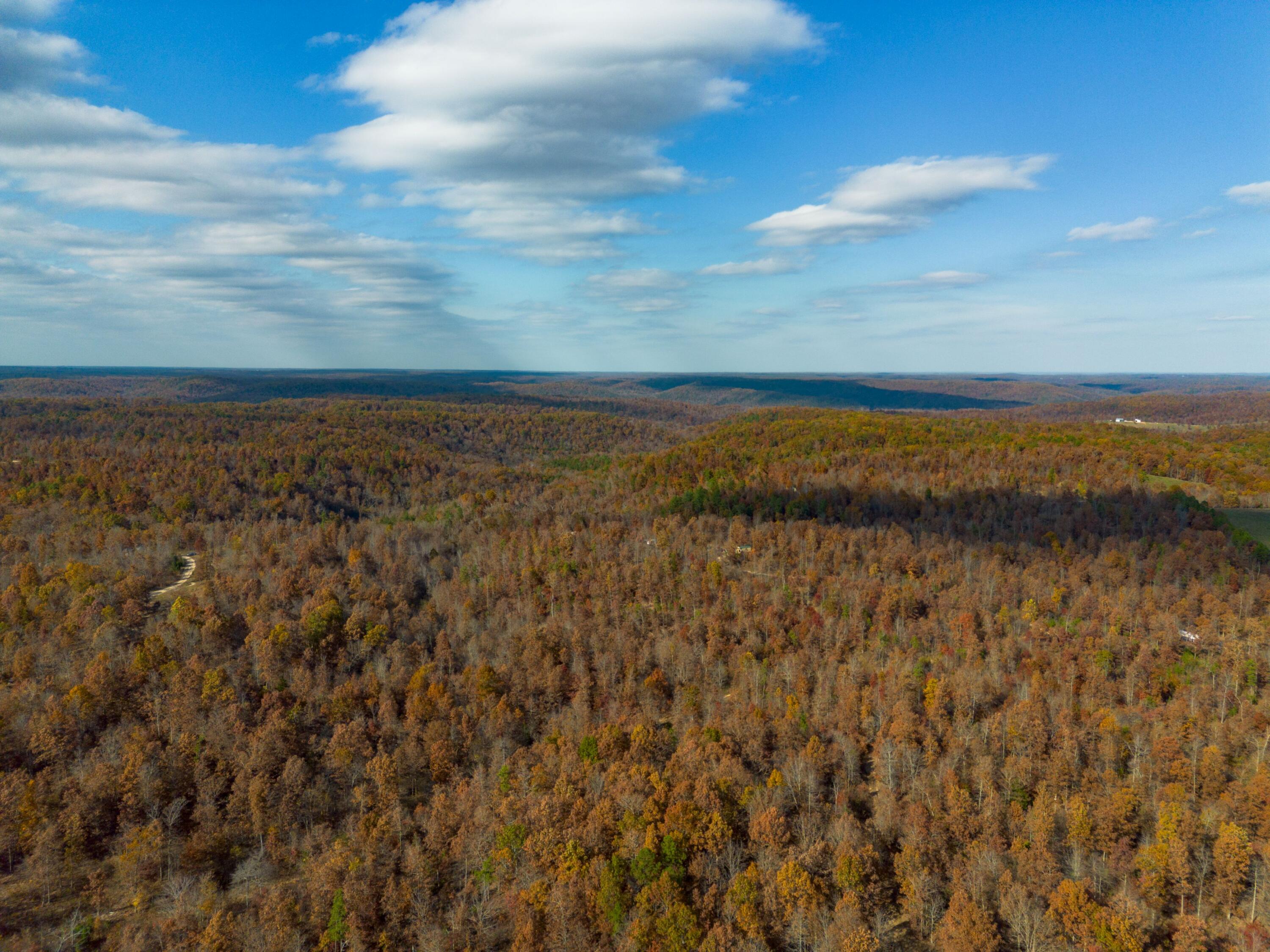 15682 Winding Trail Property Photo 19