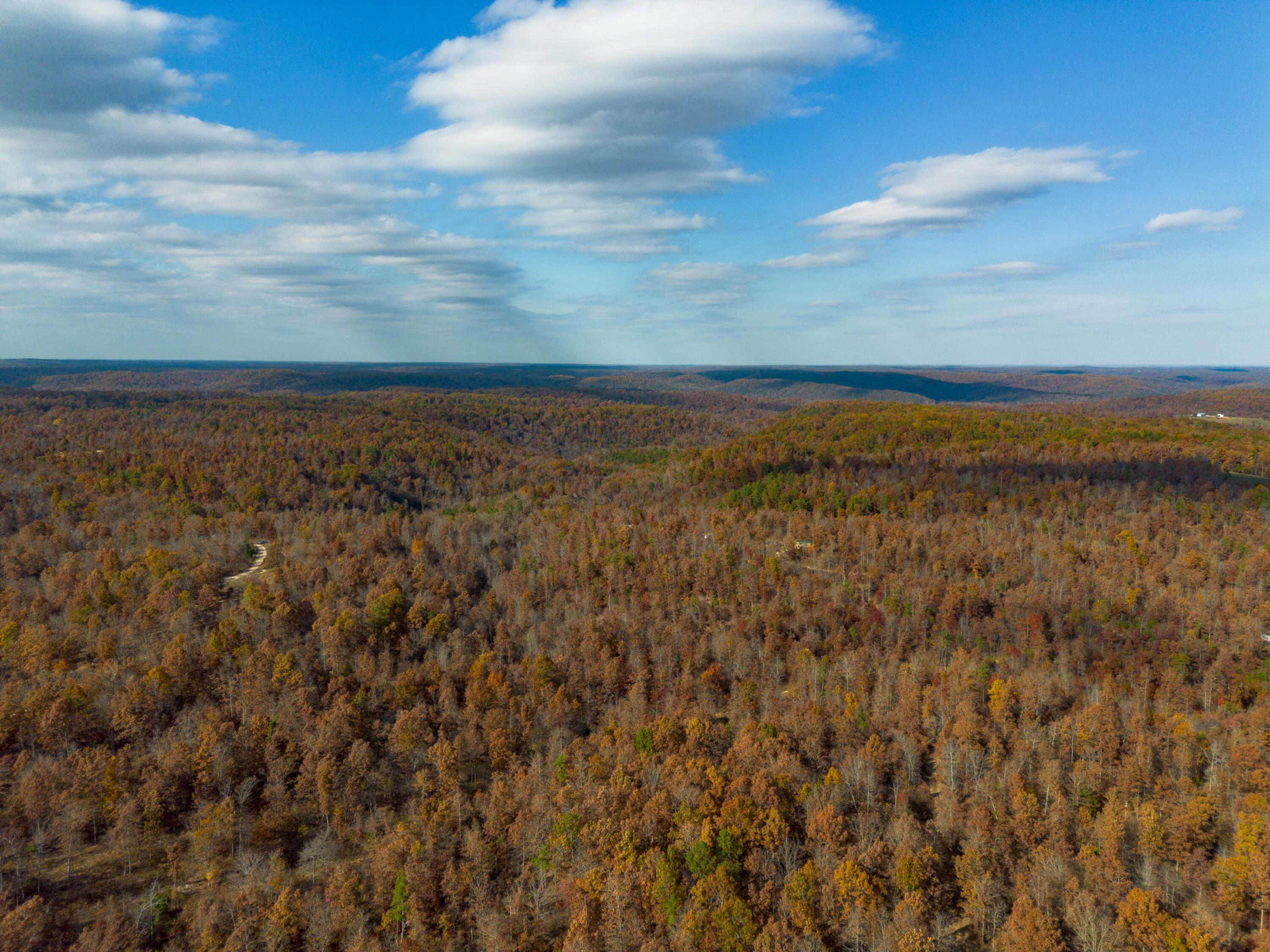 15682 Winding Trail Property Photo 20