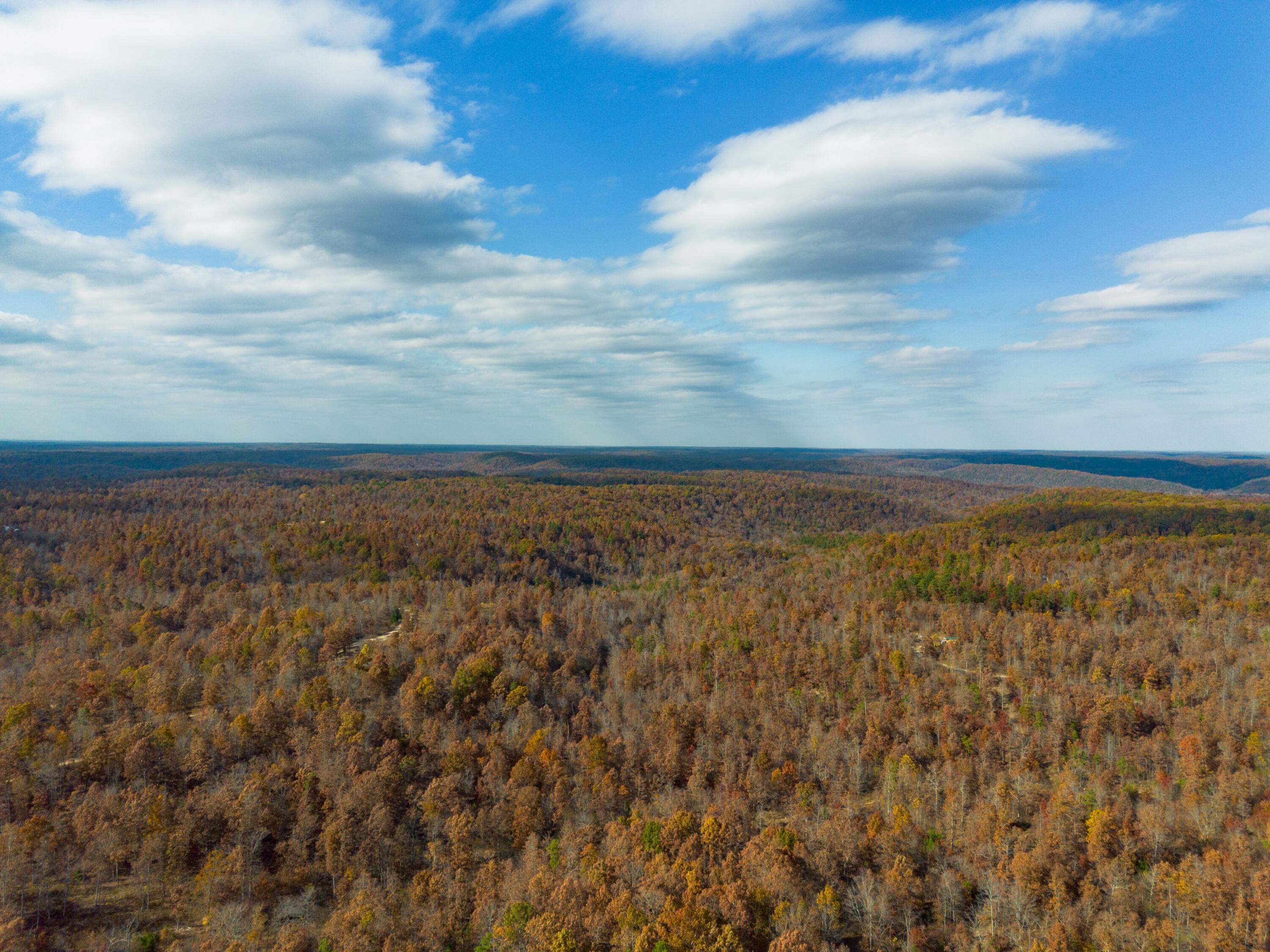 15682 Winding Trail Property Photo 21