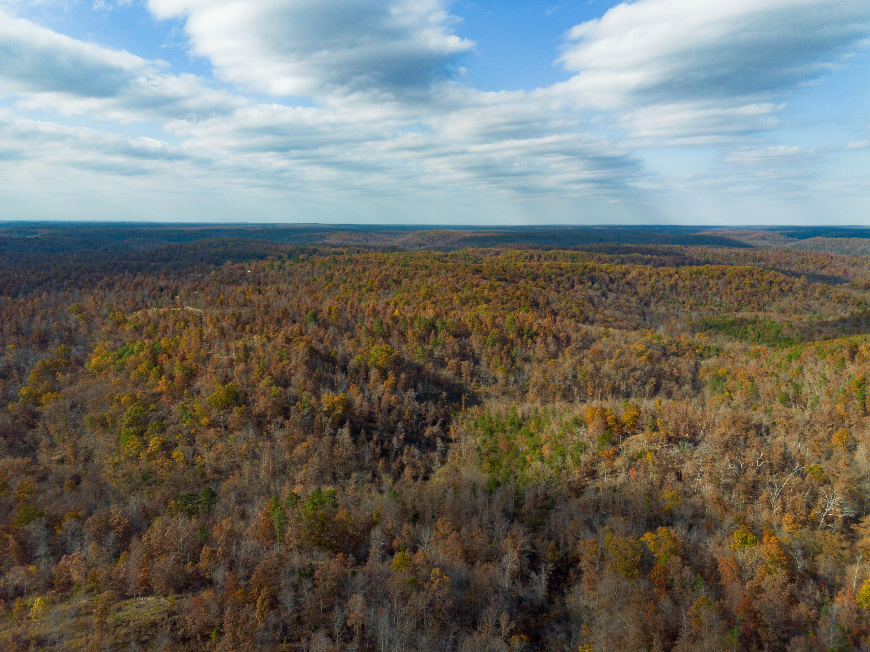 15682 Winding Trail Property Photo 22