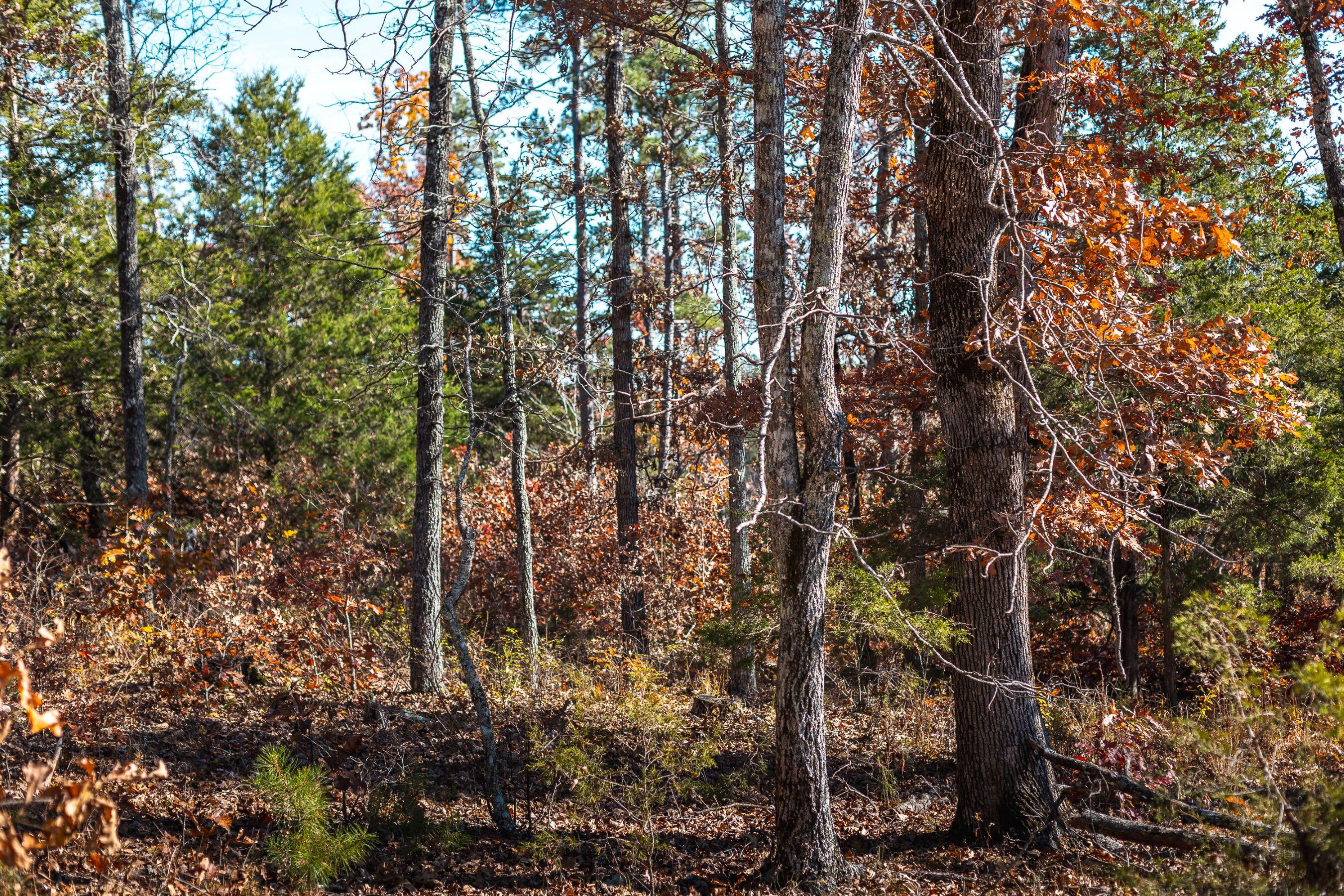 15682 Winding Trail Property Photo 23