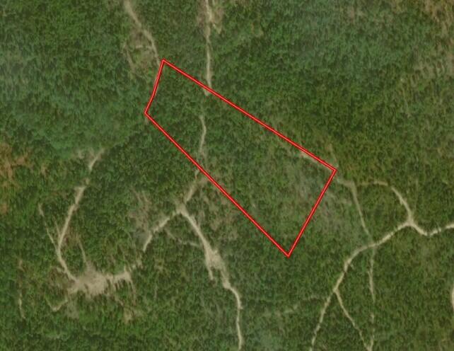 15682 Winding Trail Property Photo 26