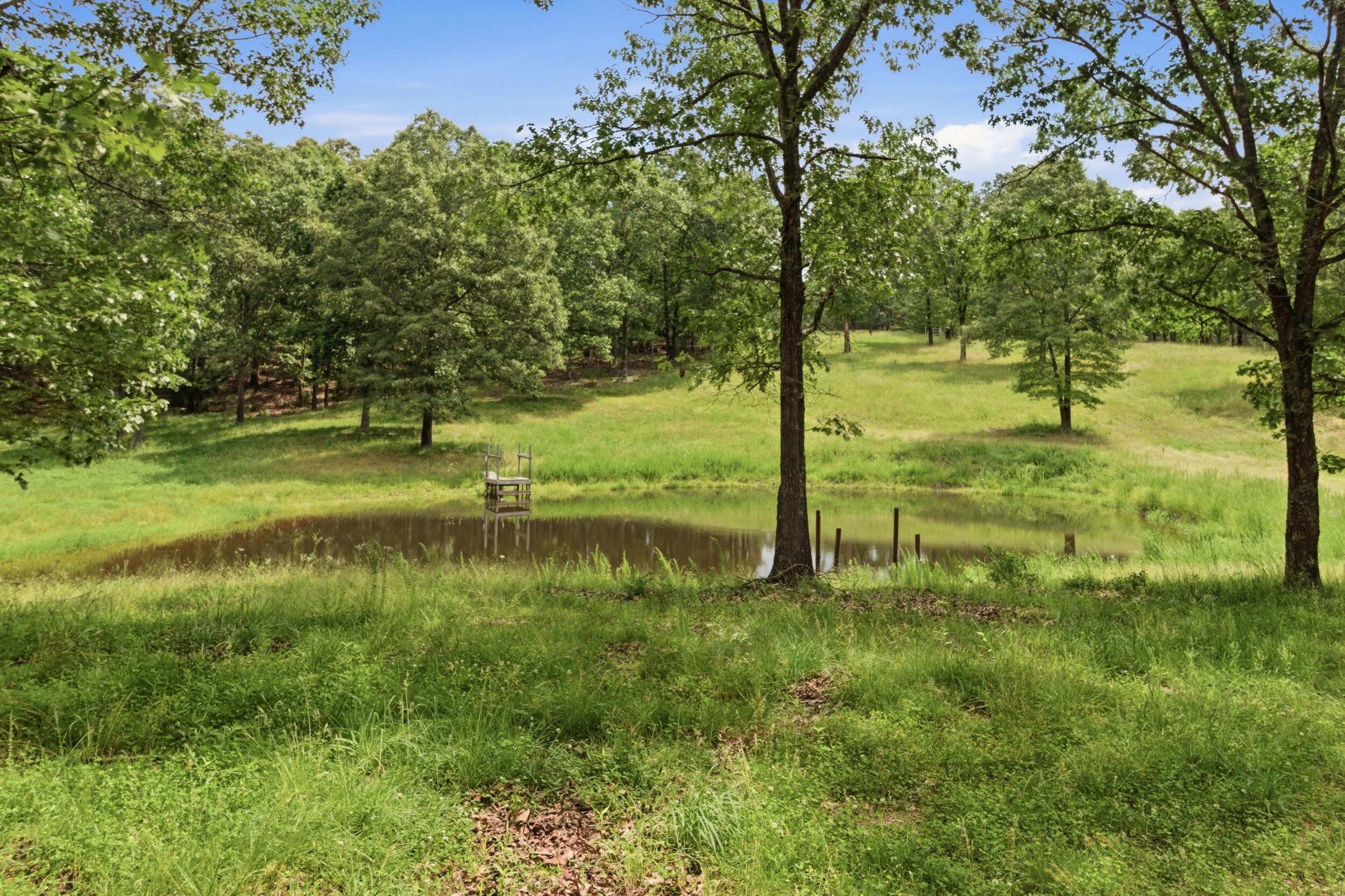 10911 State Route Pp Property Photo 47