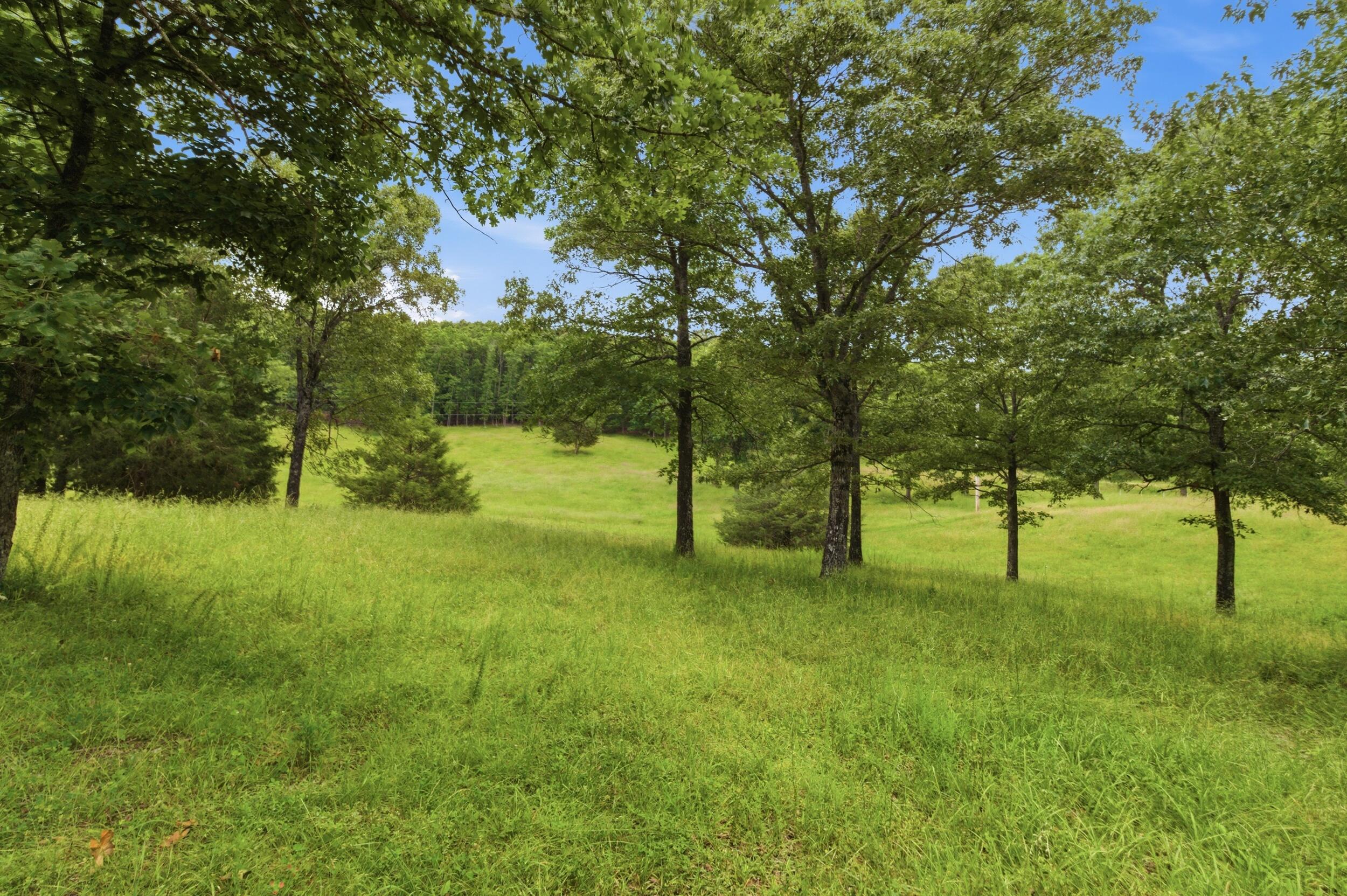 10911 State Route Pp Property Photo 48