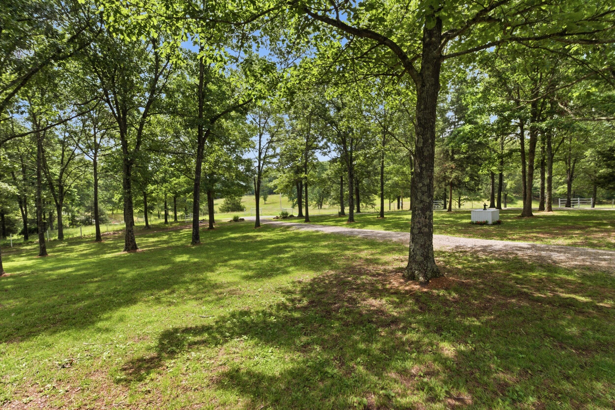 10911 State Route Pp Property Photo 49