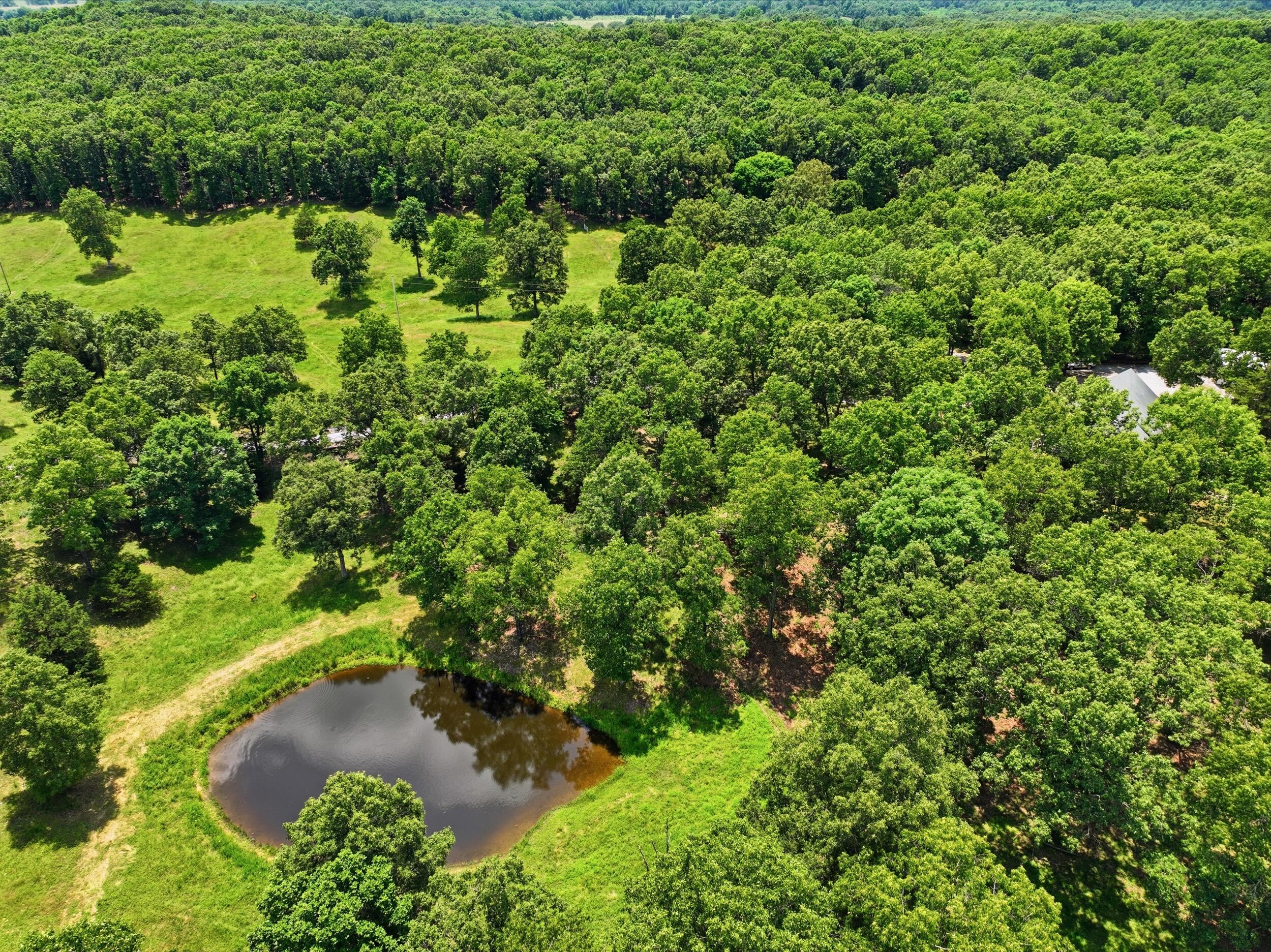 10911 State Route Pp Property Photo 57