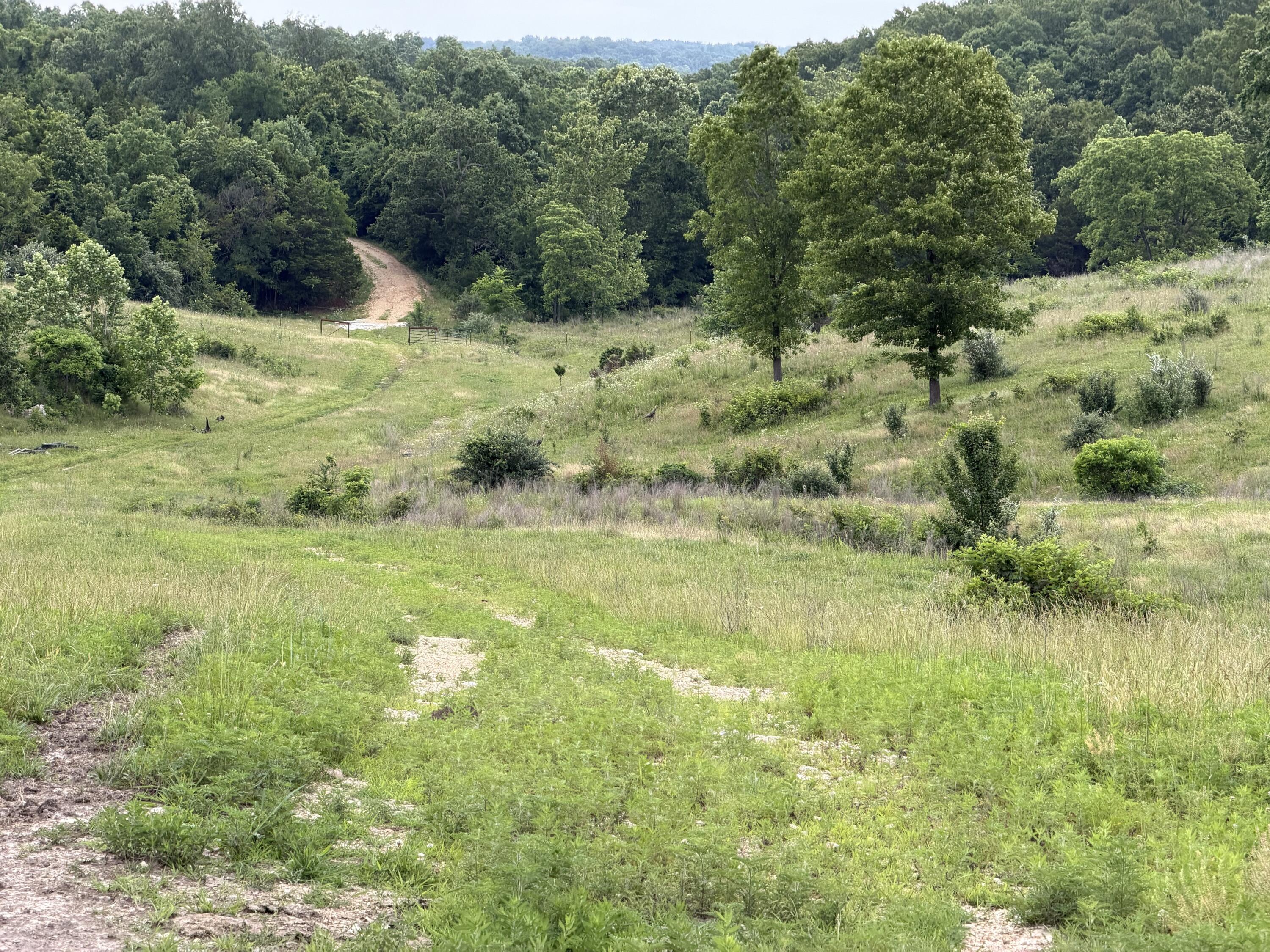 000 N Highway Property Photo 11