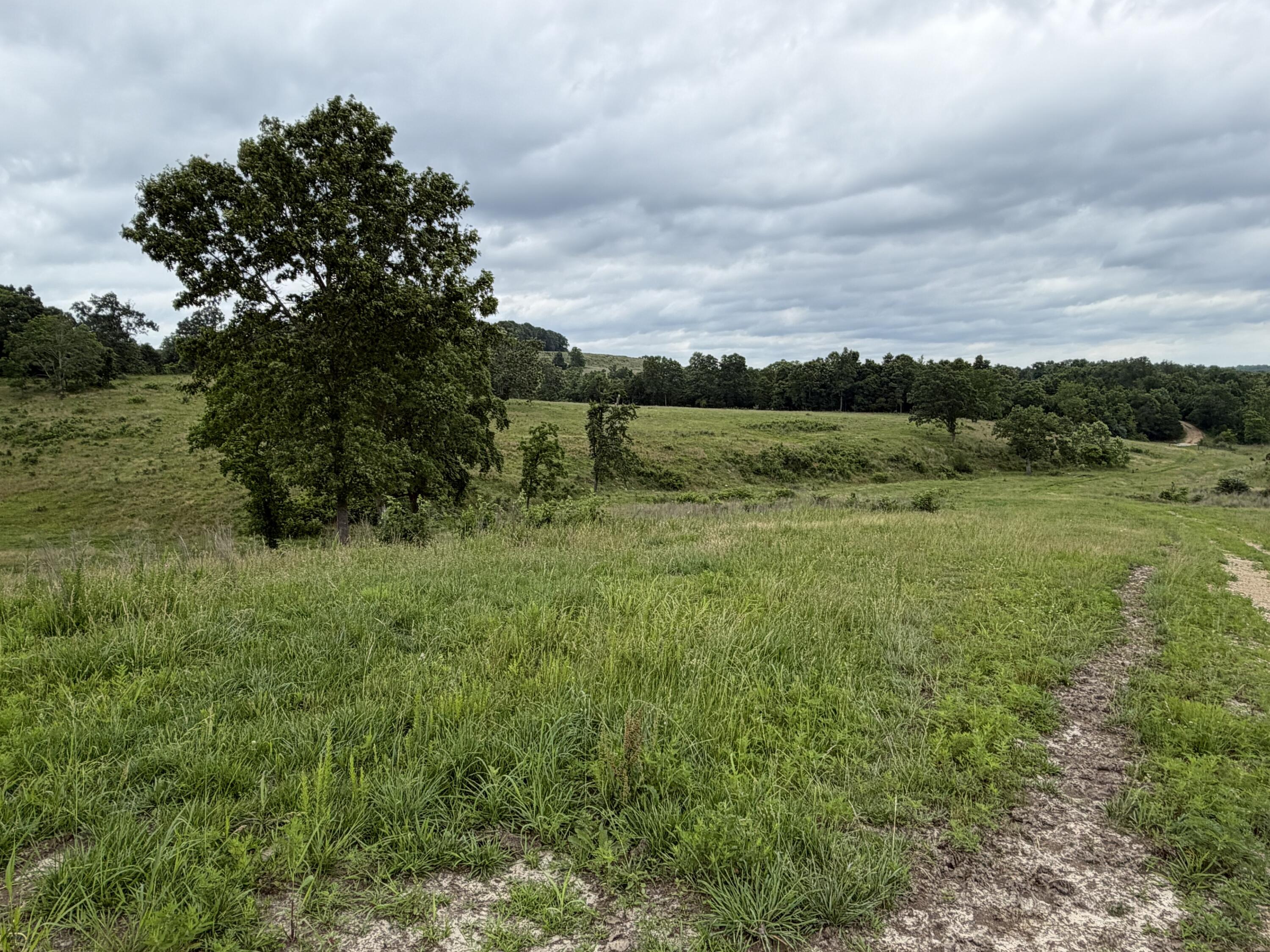 000 N Highway Property Photo 17