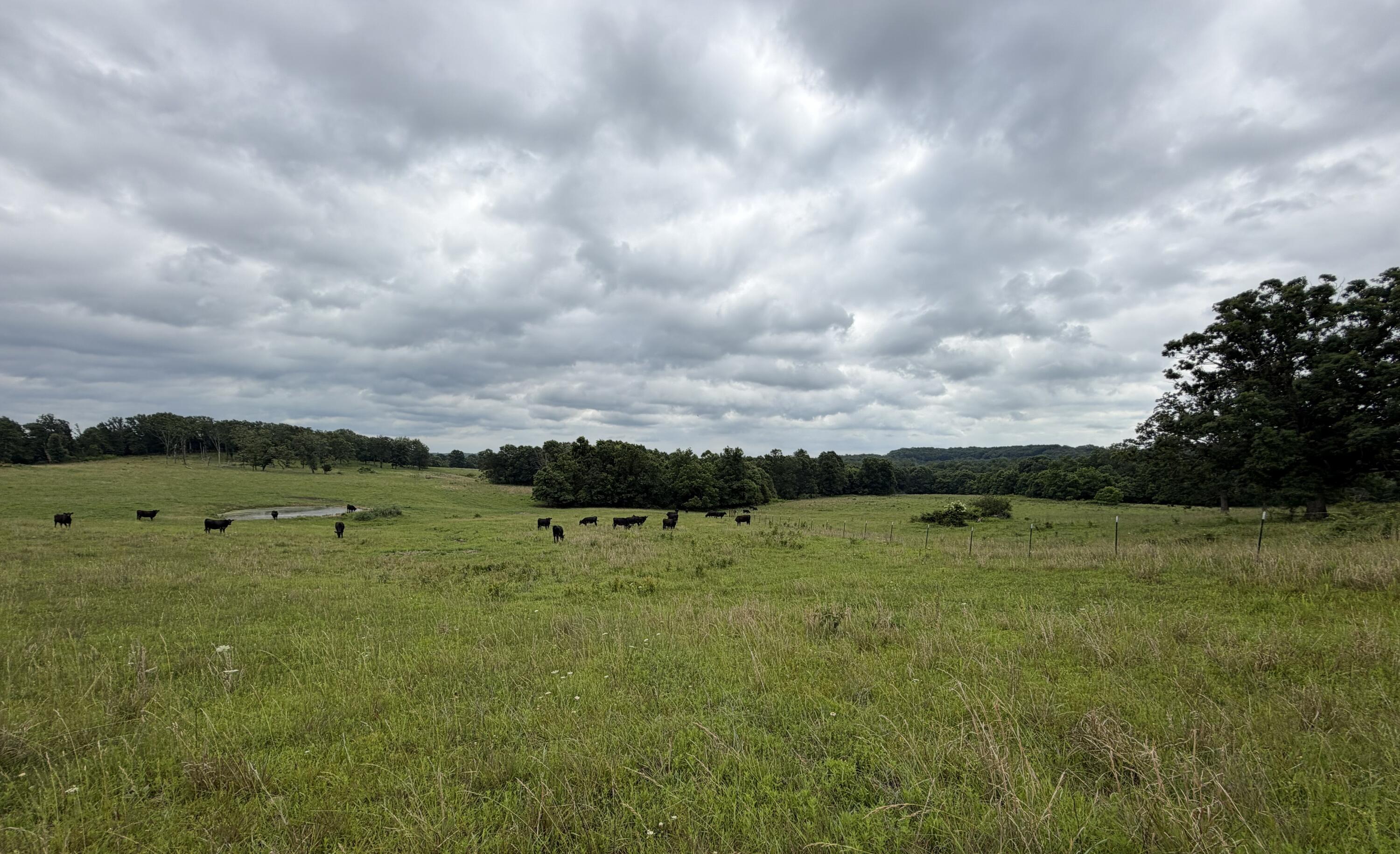 000 N Highway Property Photo 25
