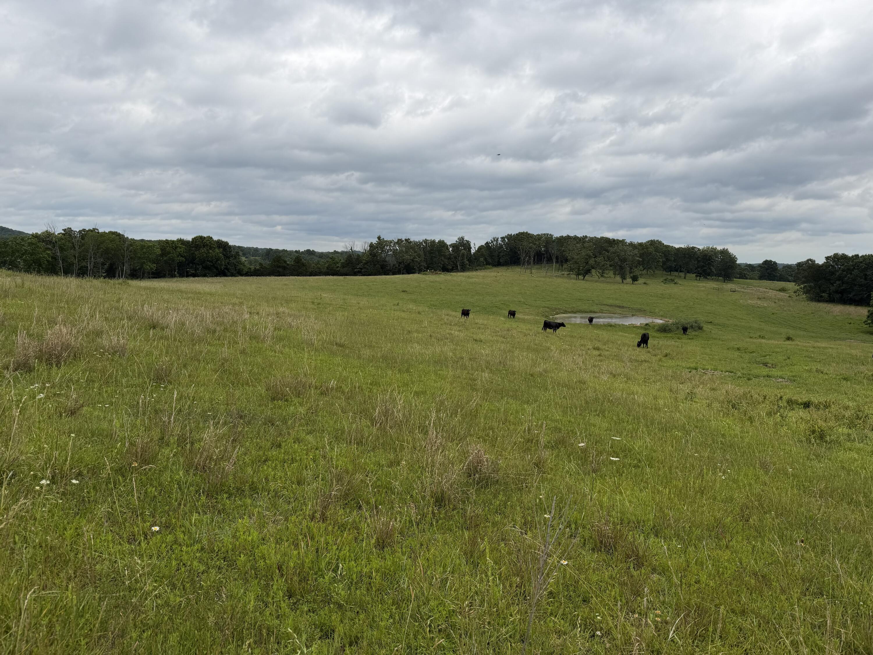 000 N Highway Property Photo 25