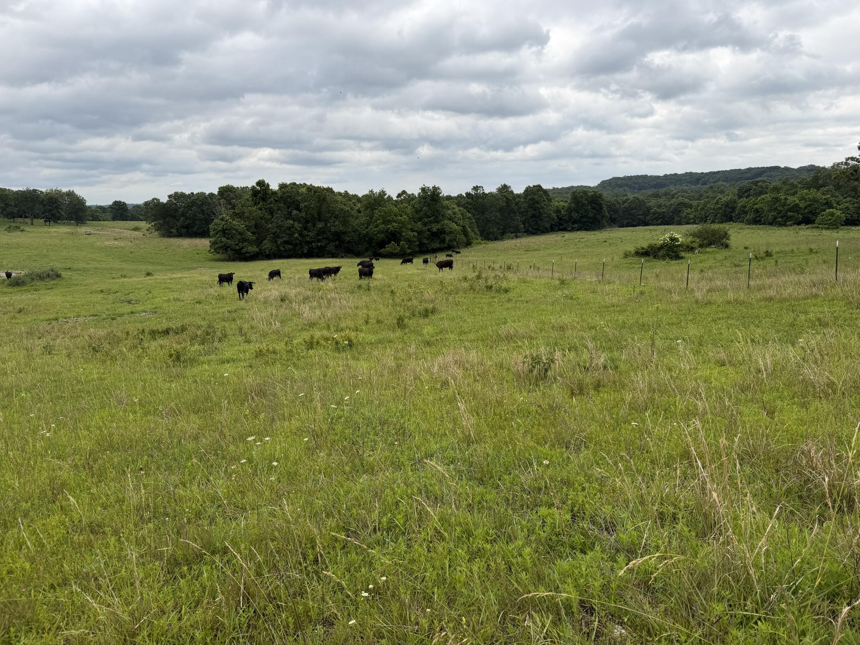 000 N Highway Property Photo 26