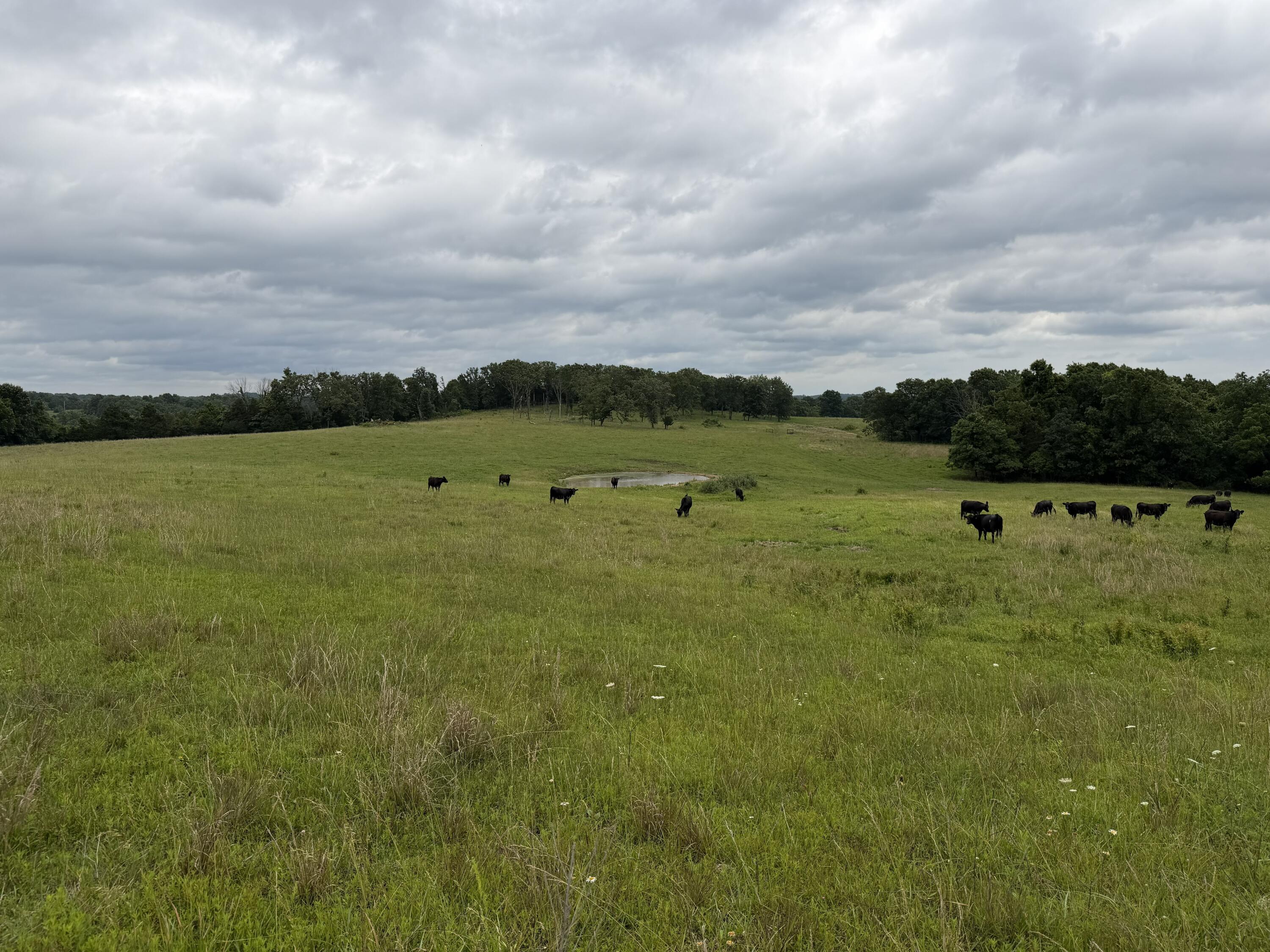 000 N Highway Property Photo 26