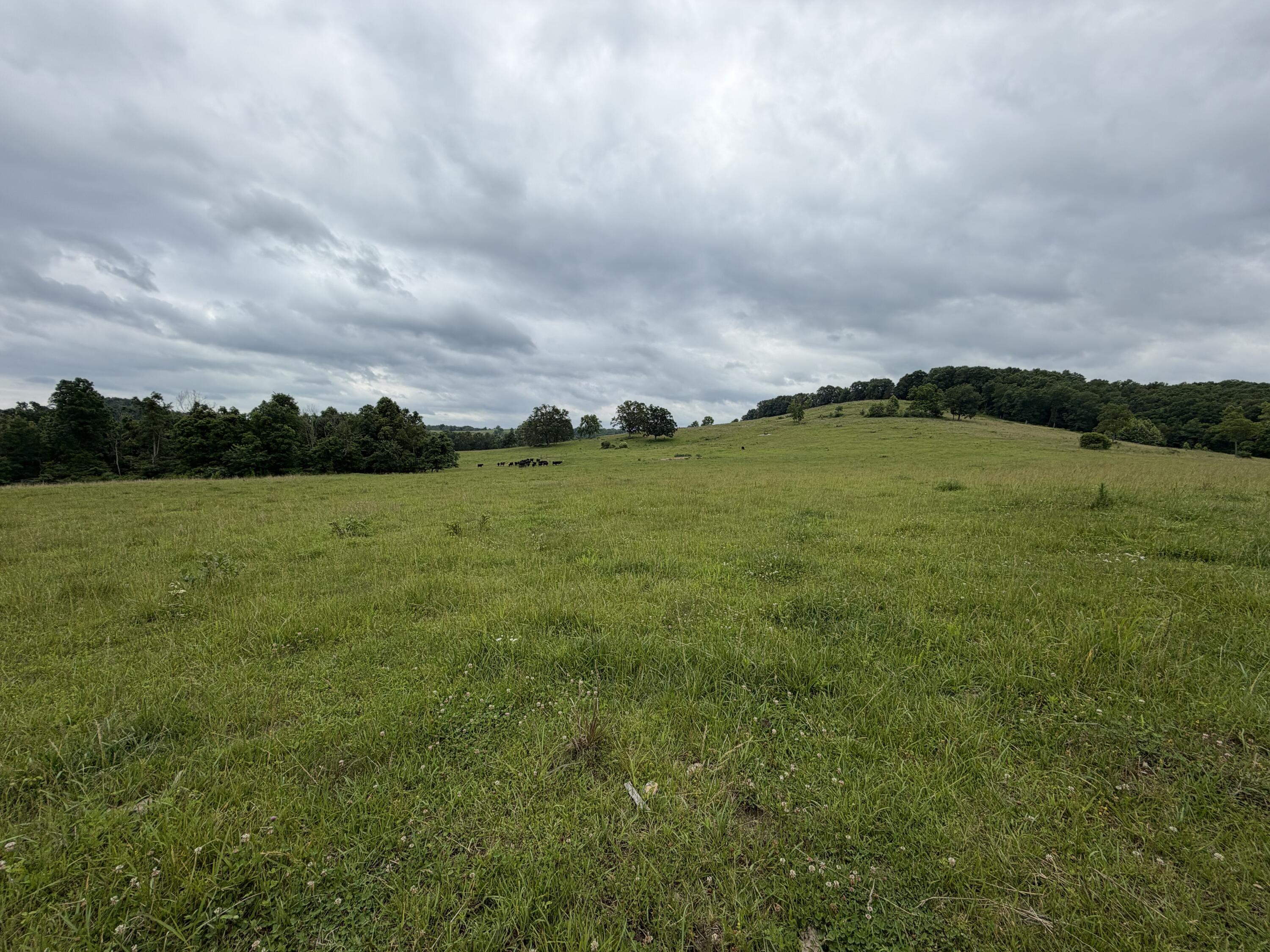 000 N Highway Property Photo 29