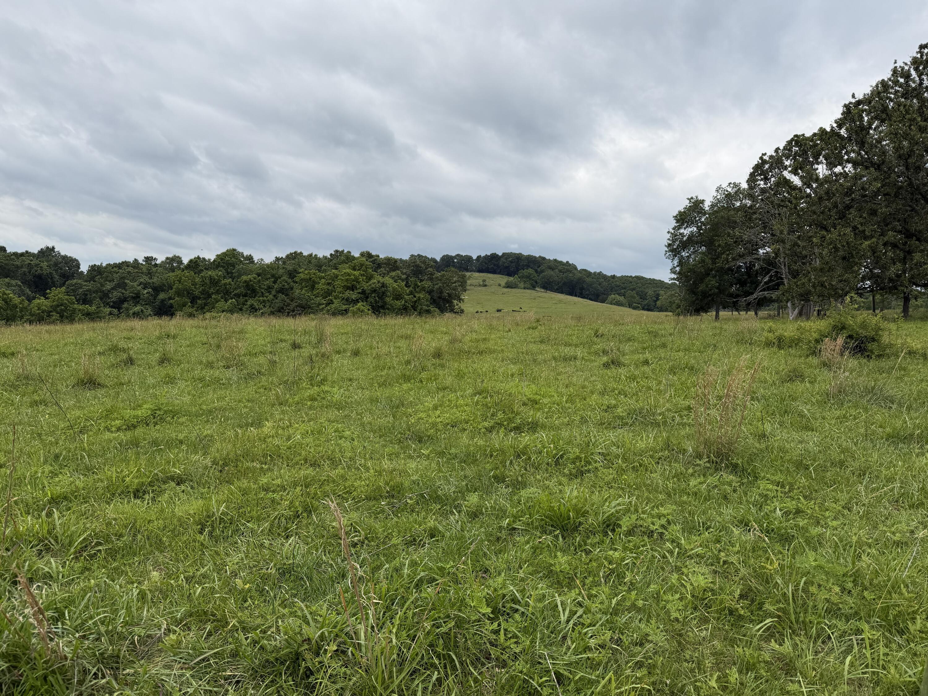 000 N Highway Property Photo 33