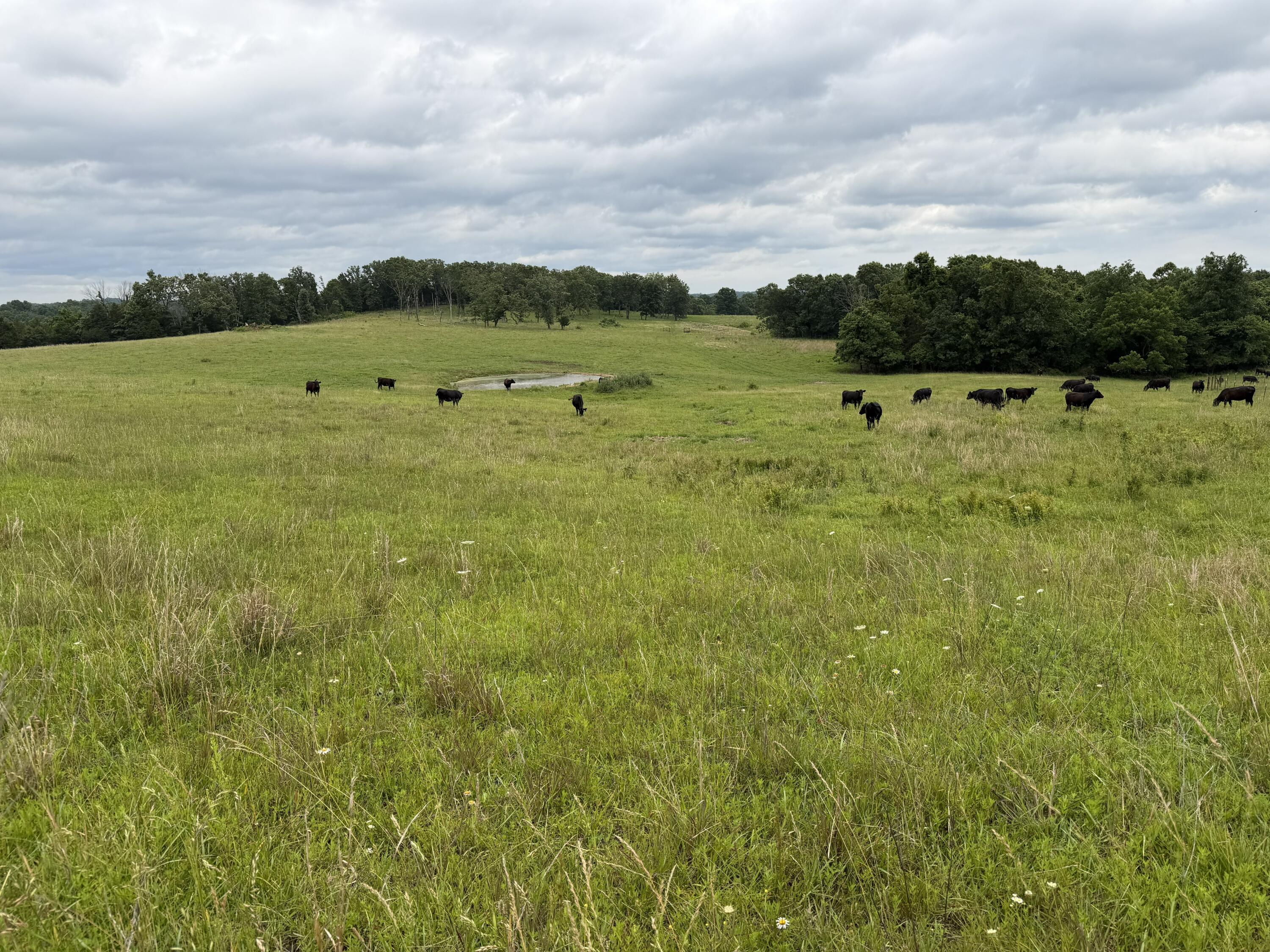 000 N Highway Property Photo 44