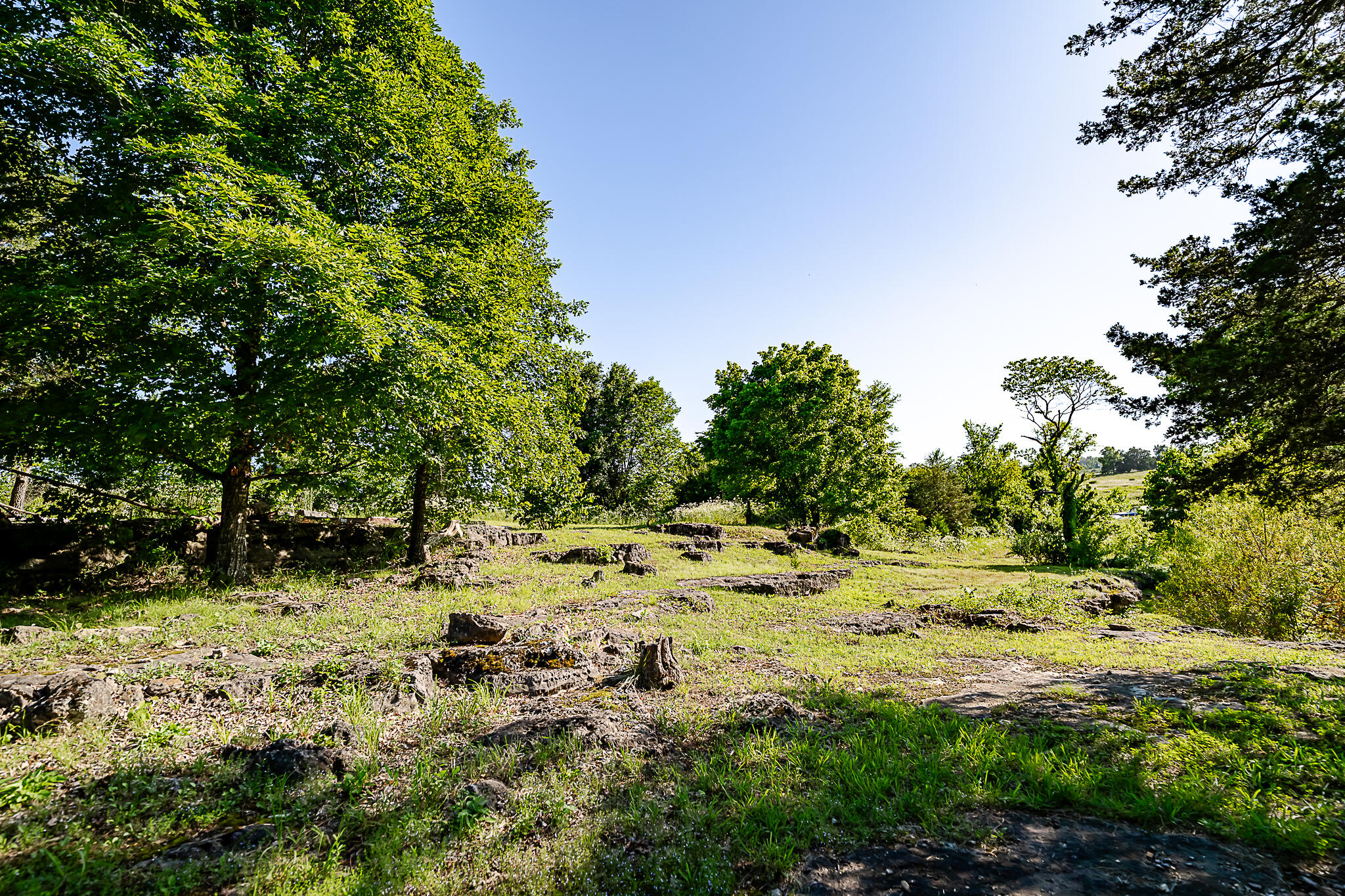 26401 Private Road 1183 Property Photo 41