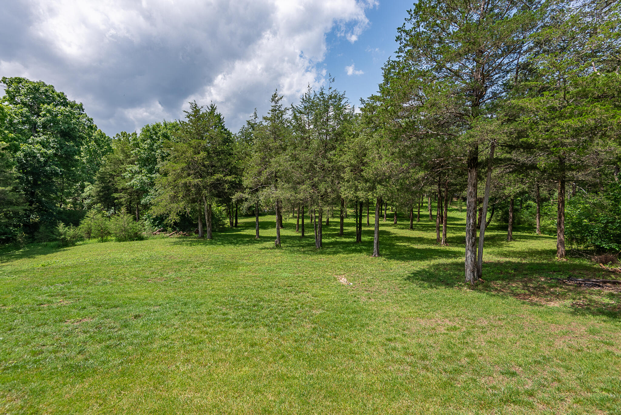 512 Creekside Terrace Property Photo 60