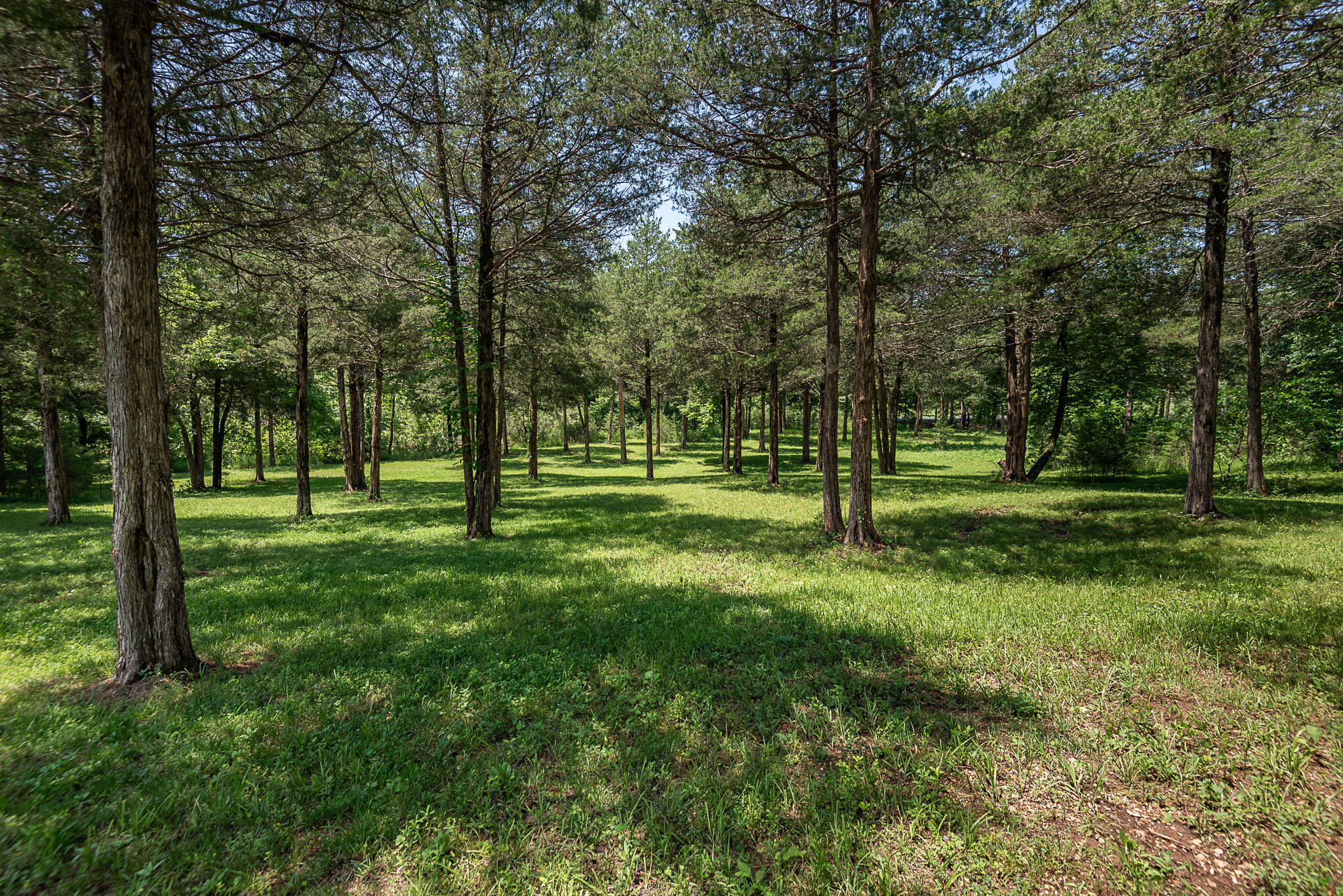 512 Creekside Terrace Property Photo 61
