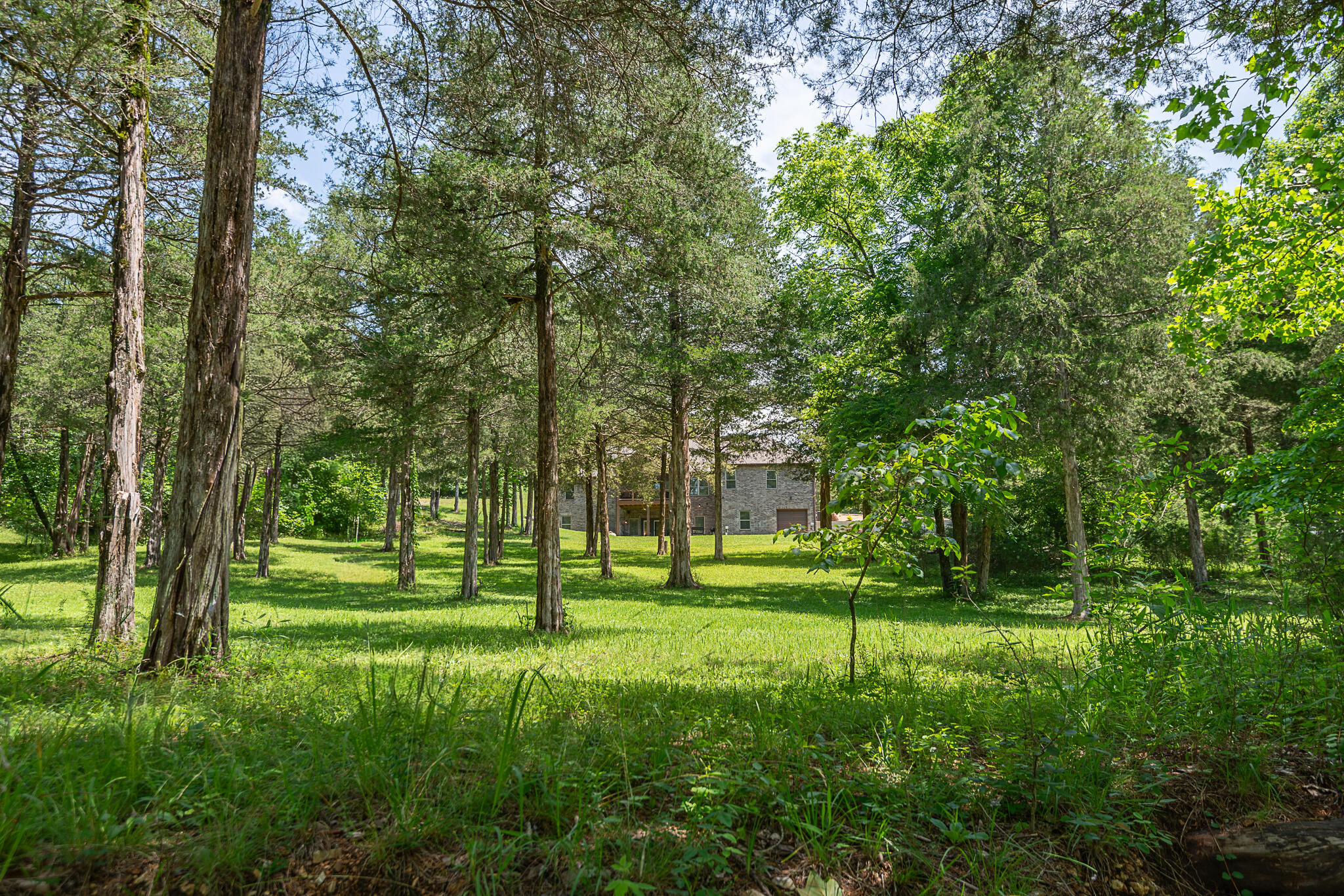 512 Creekside Terrace Property Photo 64