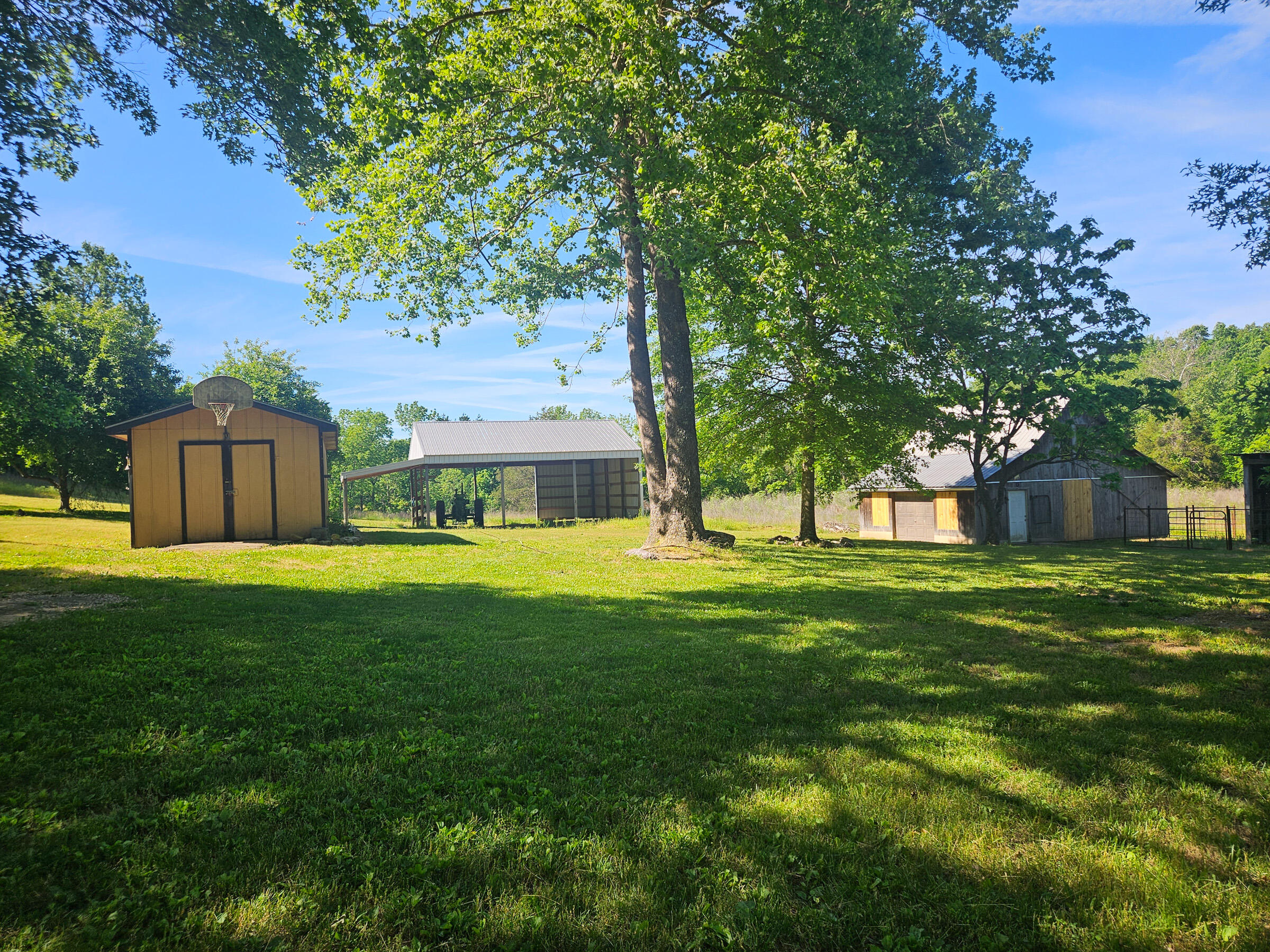 6689 Douglas Road Property Photo 3