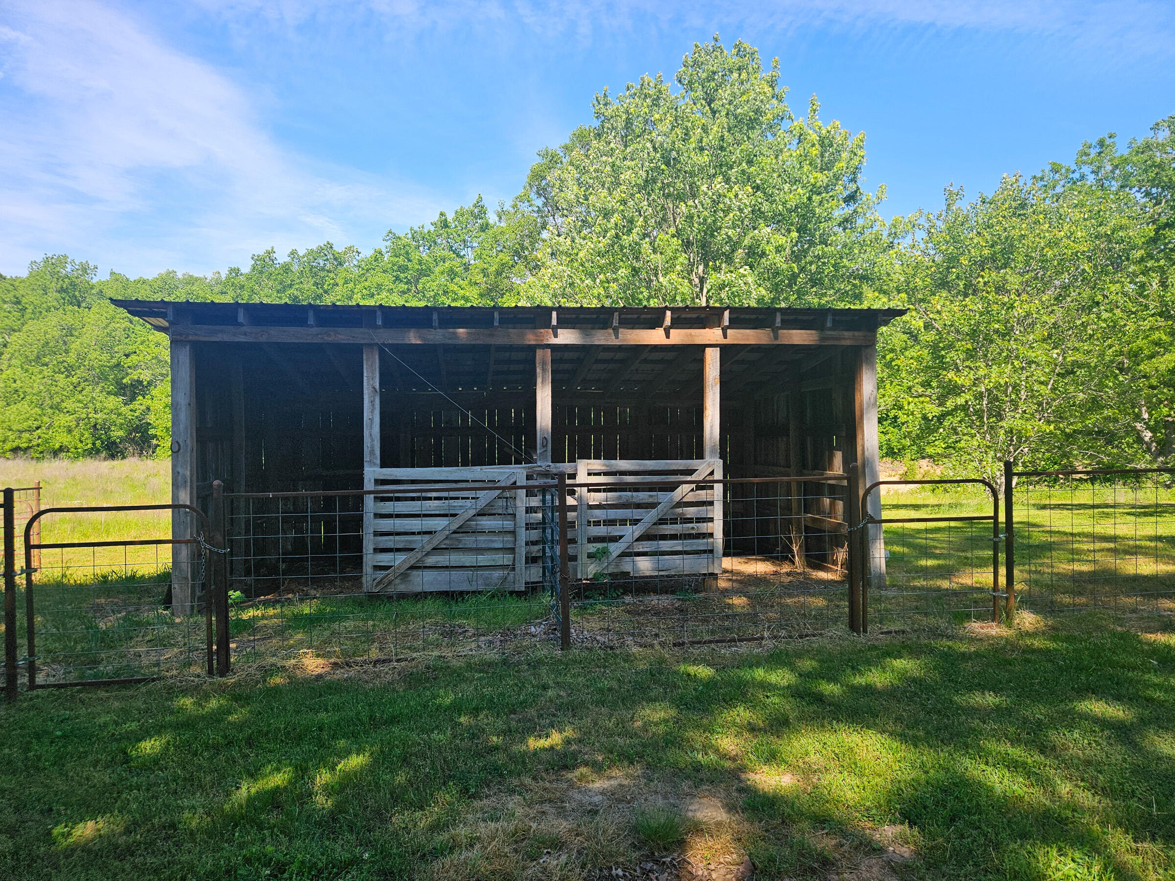 6689 Douglas Road Property Photo 14