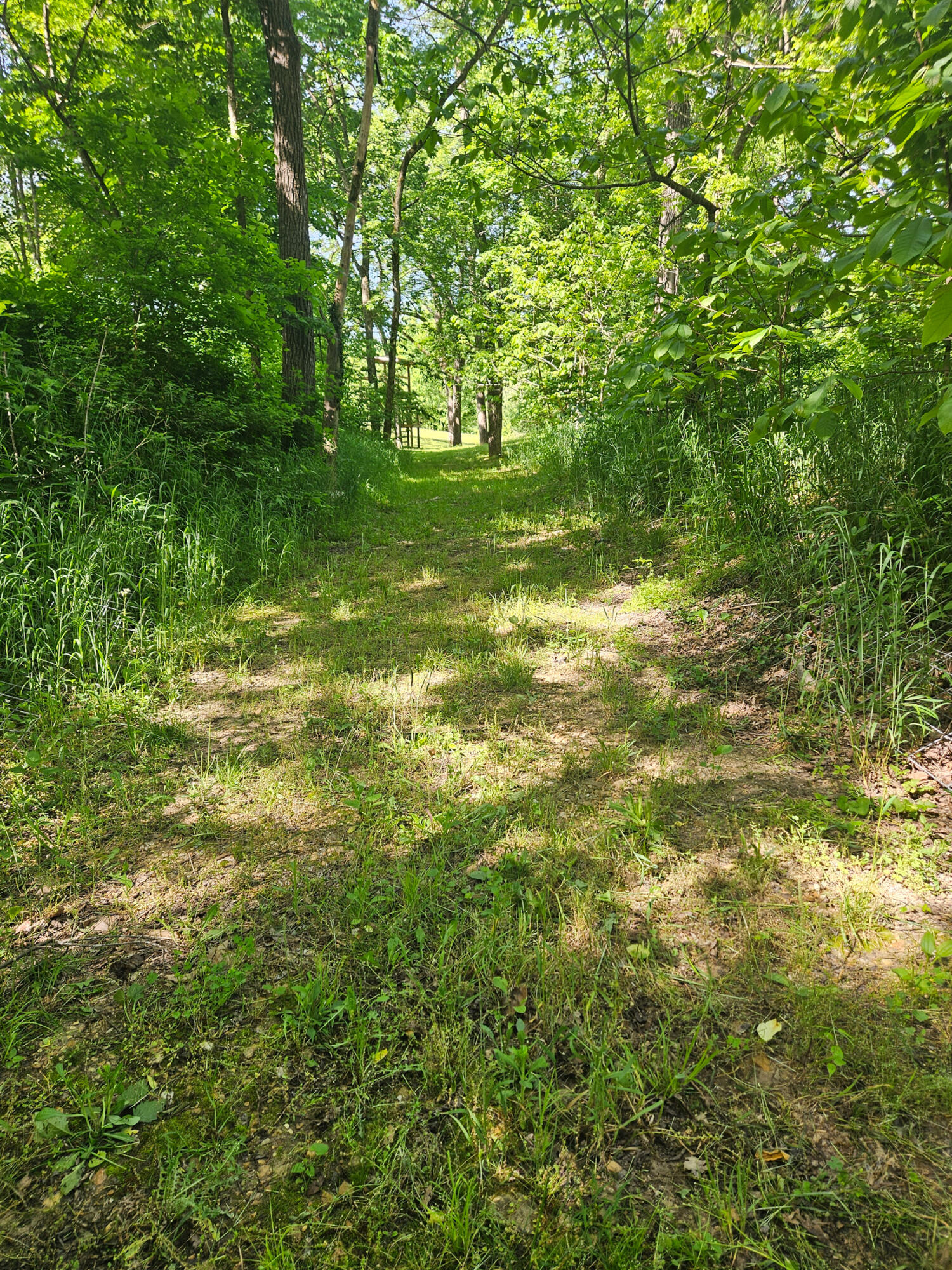 6689 Douglas Road Property Photo 19