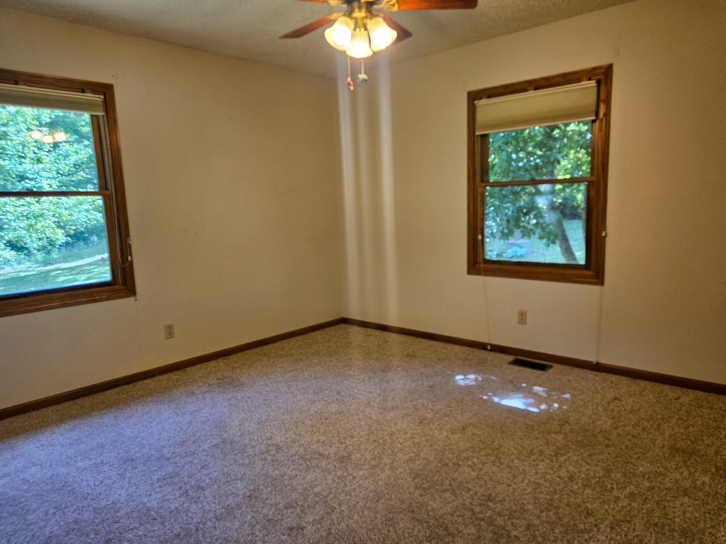 6689 Douglas Road Property Photo 37
