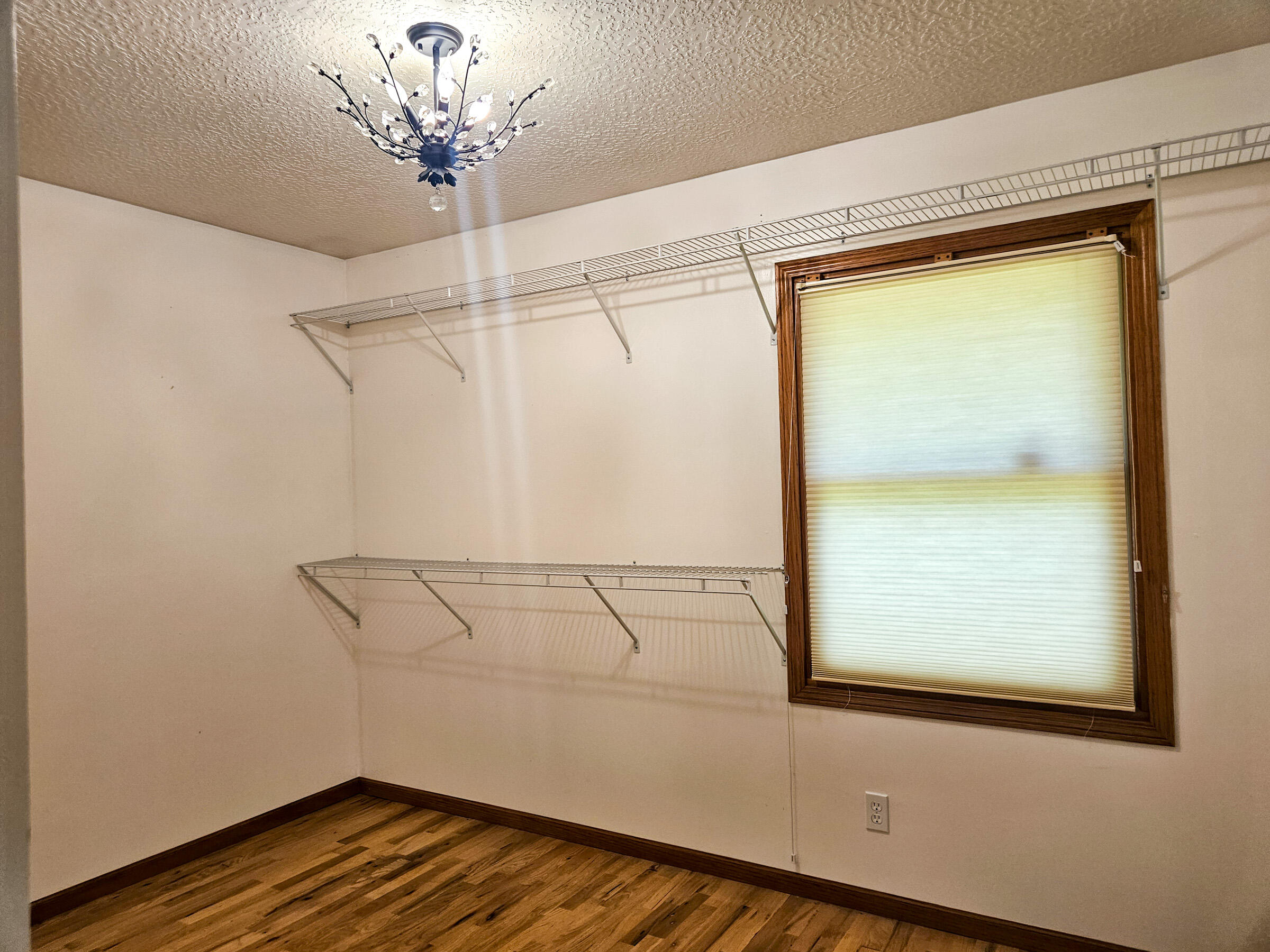 6689 Douglas Road Property Photo 42