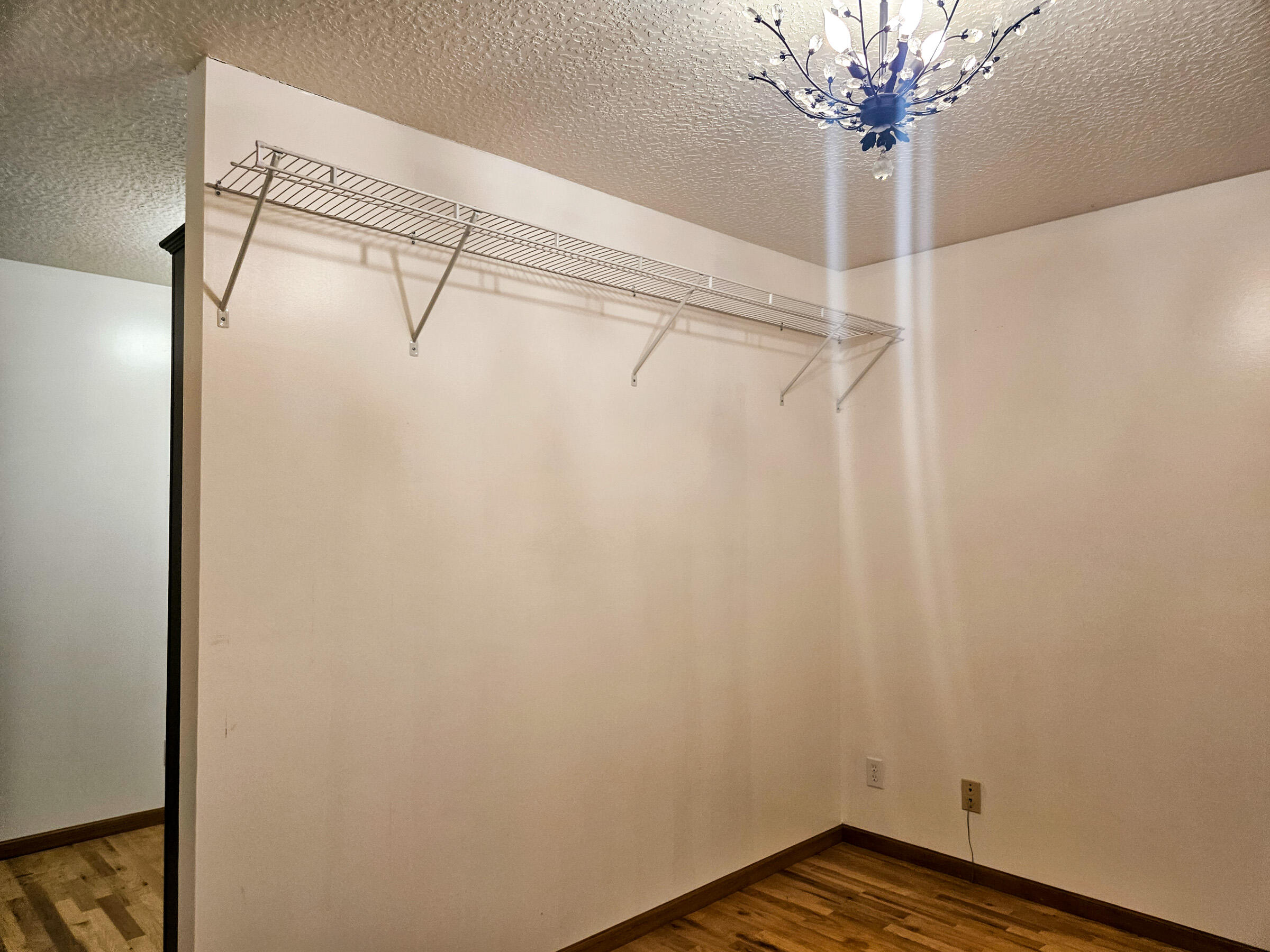 6689 Douglas Road Property Photo 43