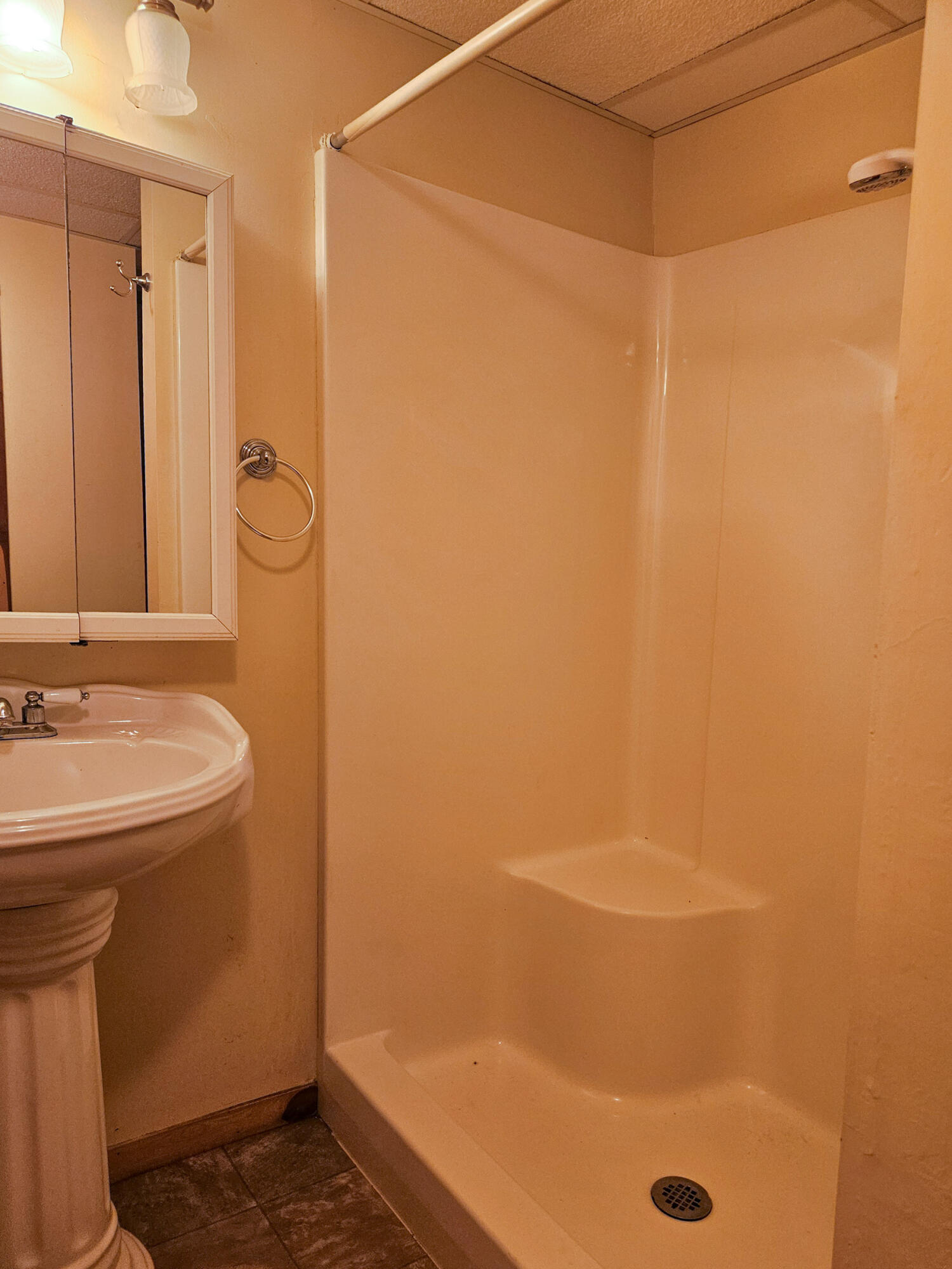 6689 Douglas Road Property Photo 52
