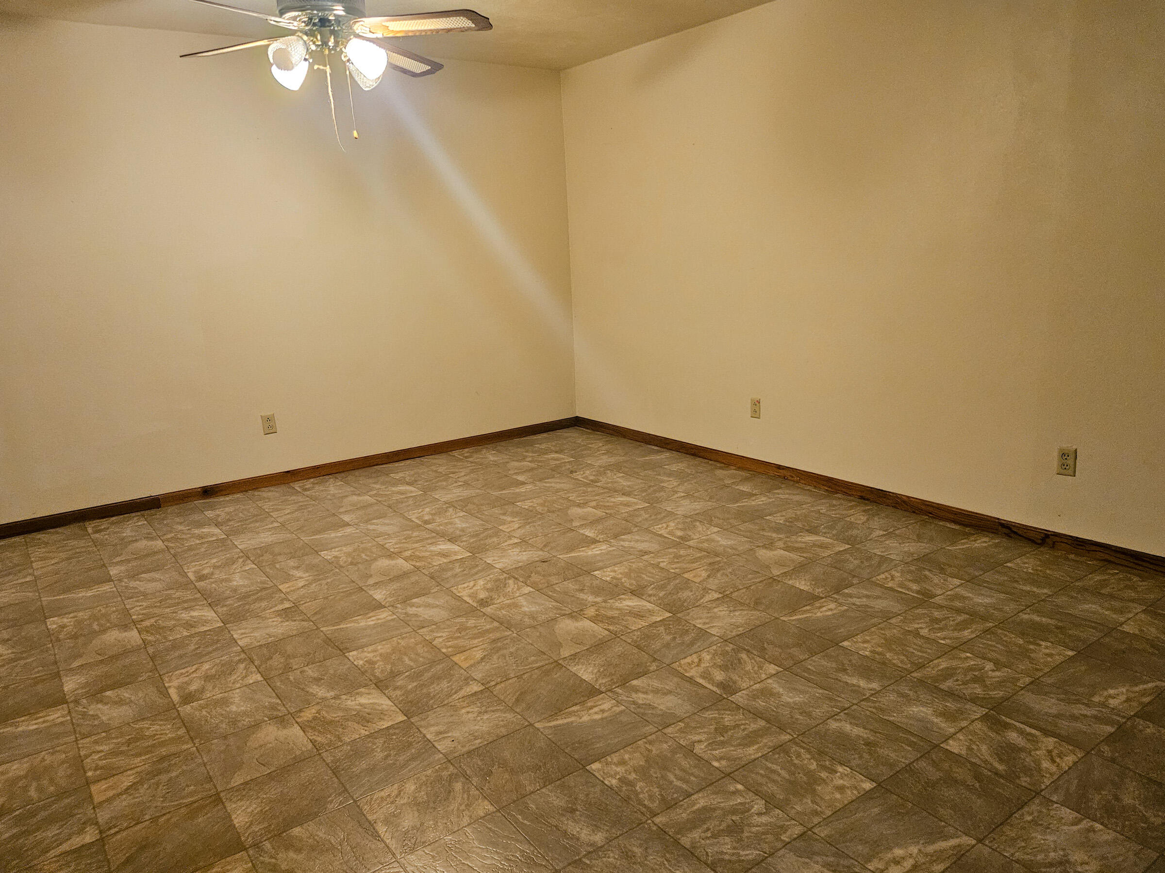 6689 Douglas Road Property Photo 54