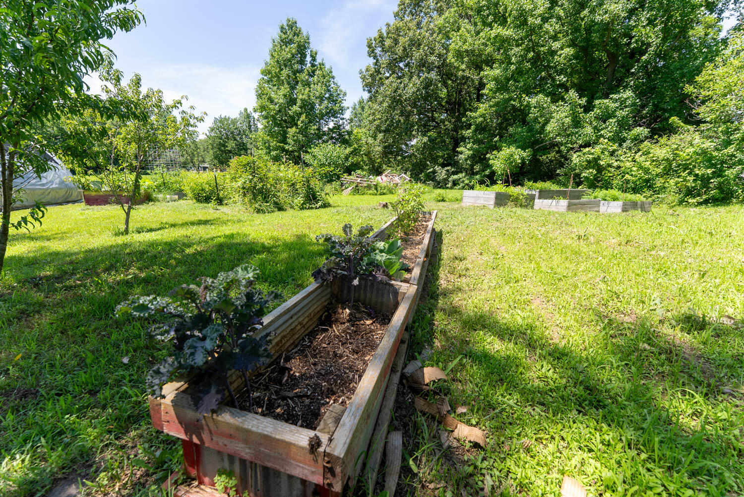 10239 State Highway 25 Property Photo 29
