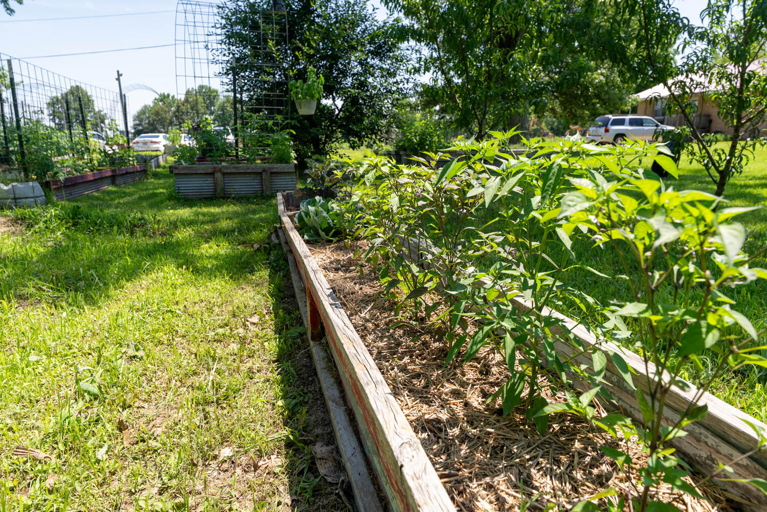 10239 State Highway 25 Property Photo 30