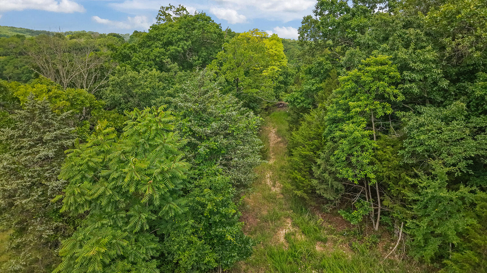 000 Green Mountian Drive Property Photo 11