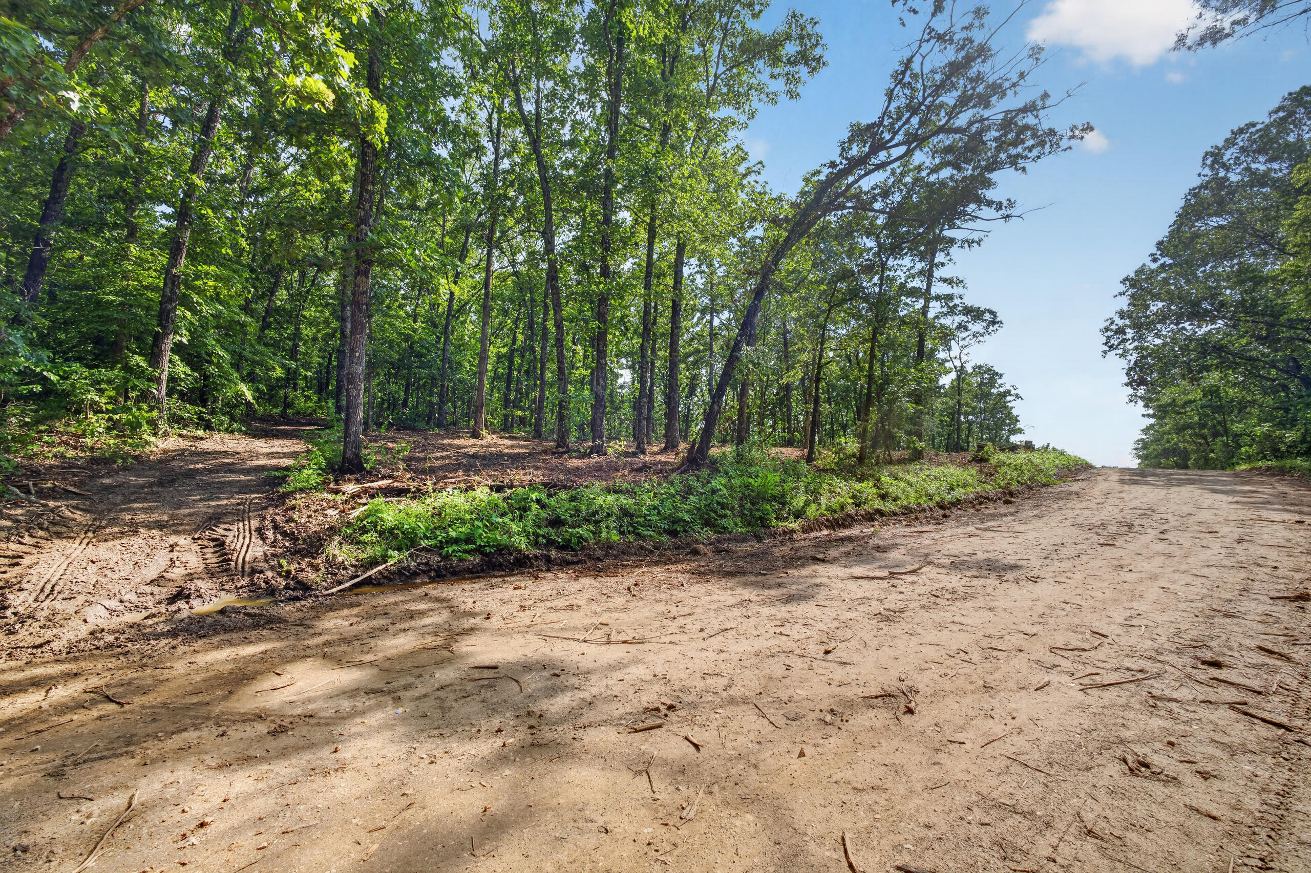 006 Cantrell Road Property Photo 7