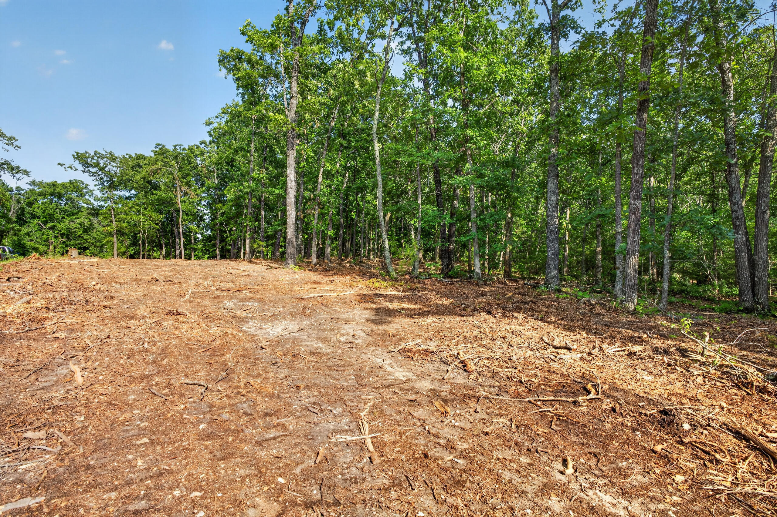 006 Cantrell Road Property Photo 8