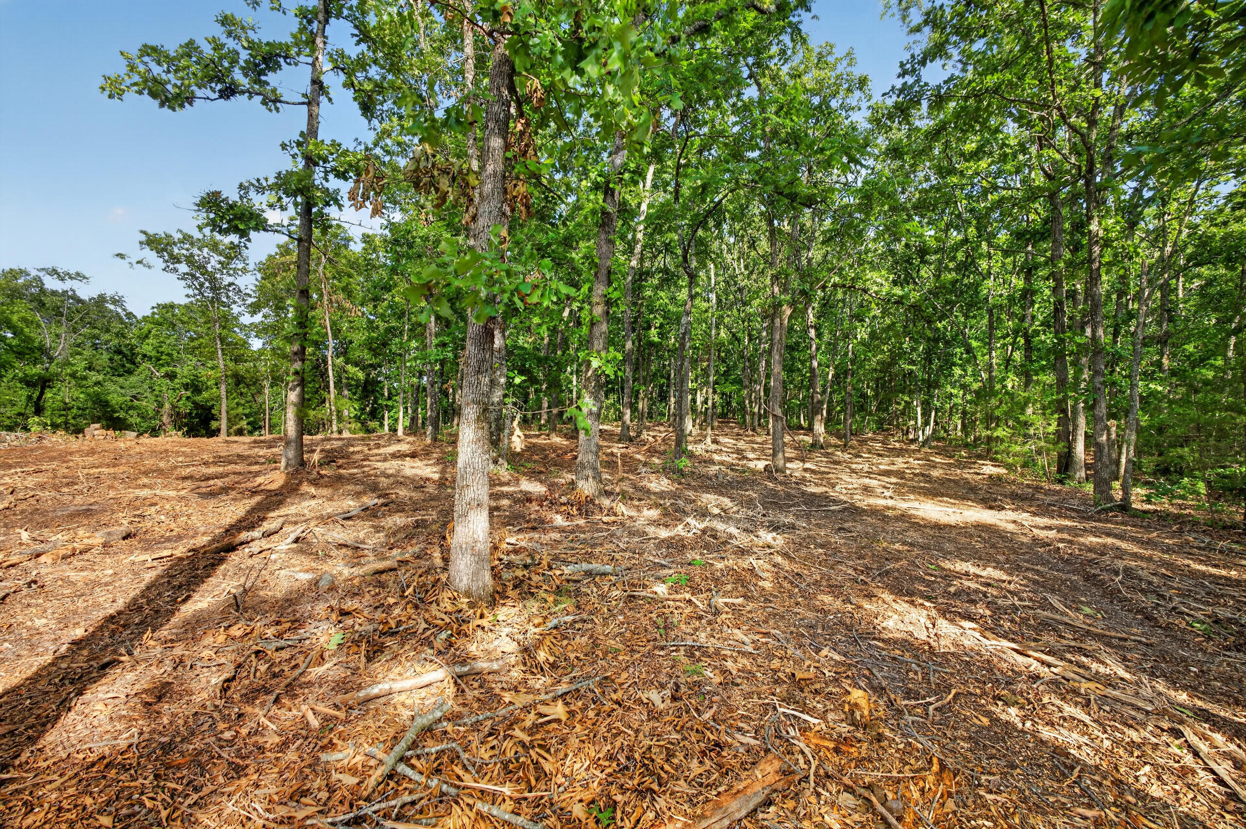 006 Cantrell Road Property Photo 9