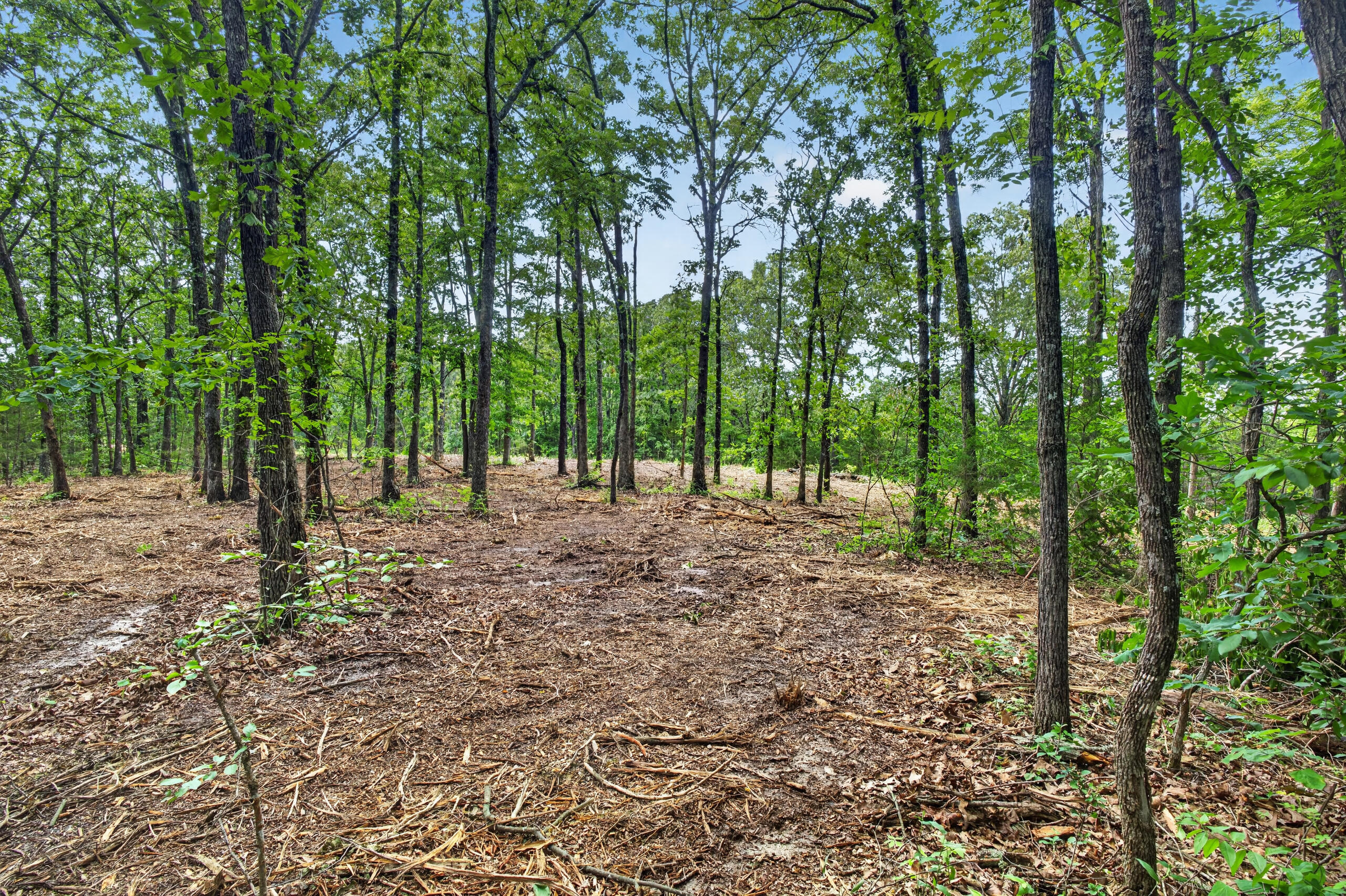 006 Cantrell Road Property Photo 10