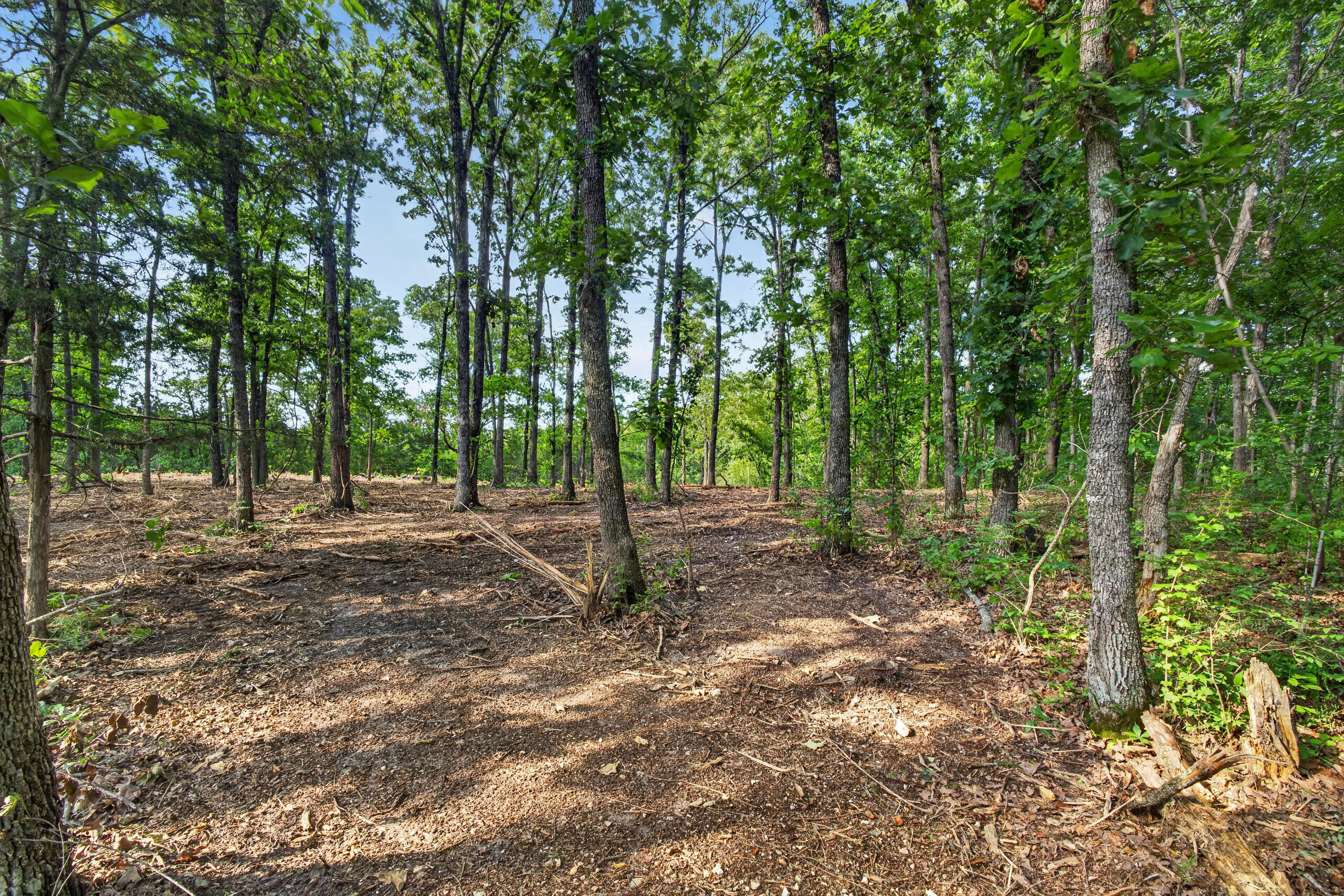 006 Cantrell Road Property Photo 11