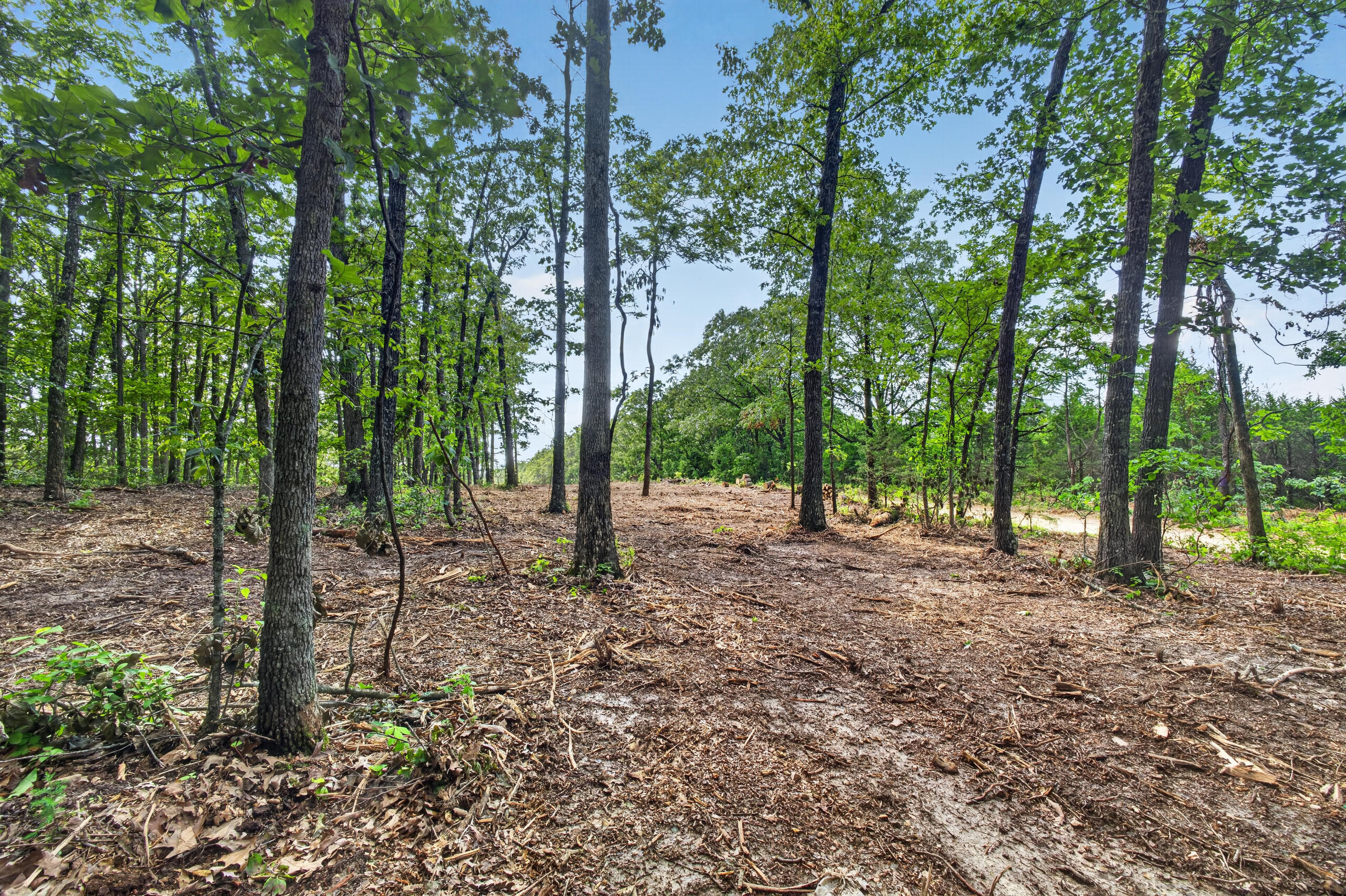 006 Cantrell Road Property Photo 12