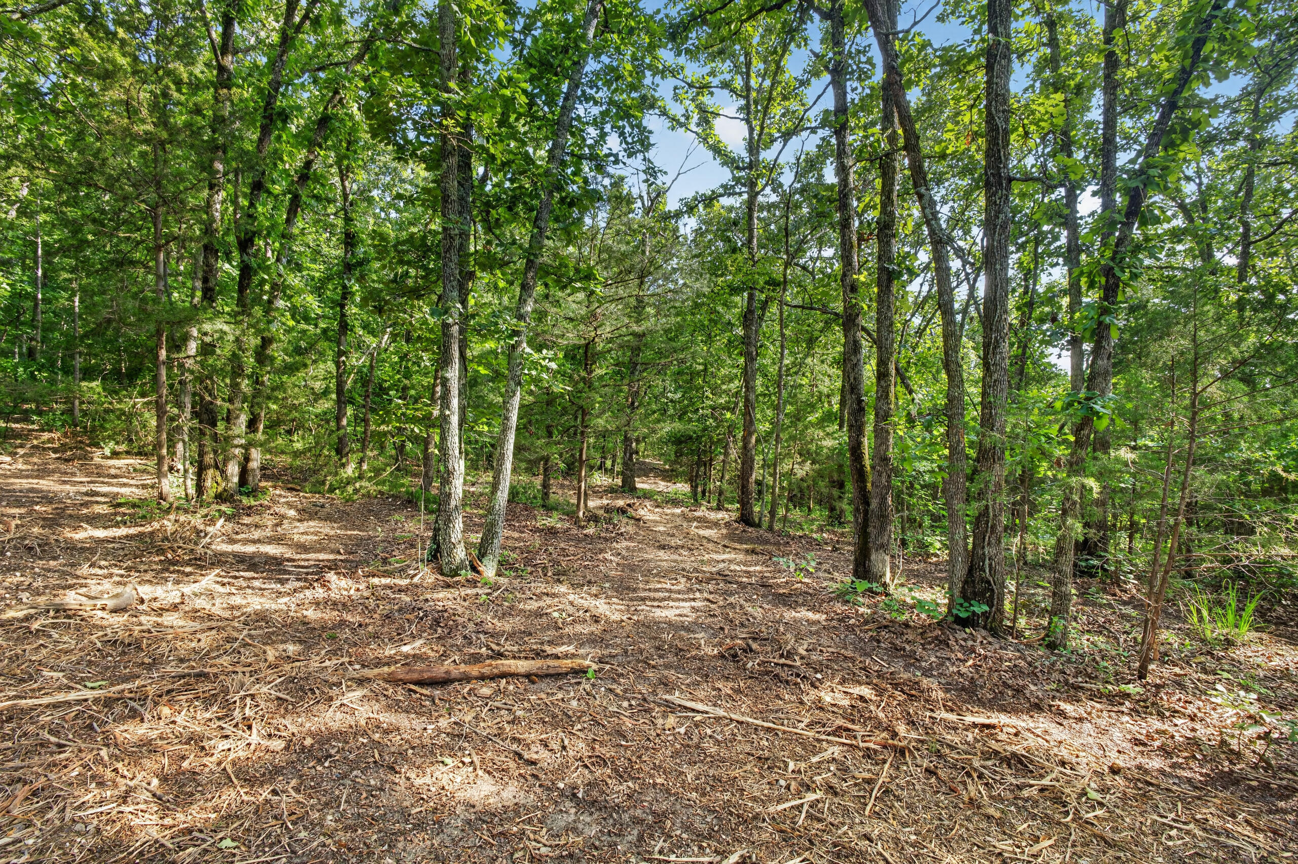 006 Cantrell Road Property Photo 13