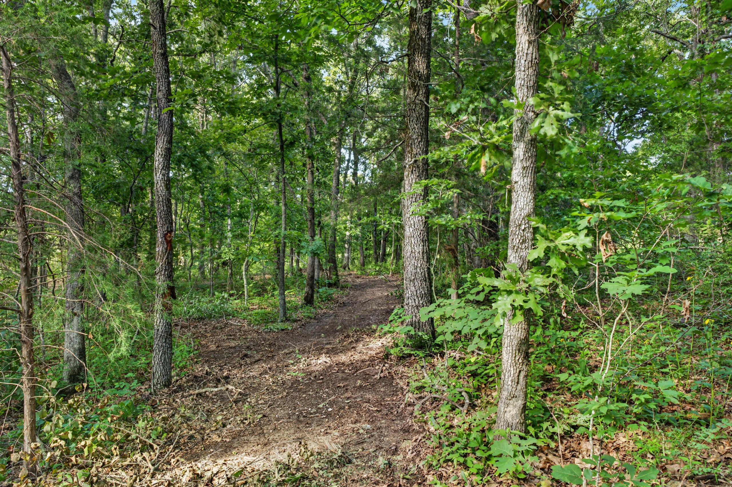006 Cantrell Road Property Photo 14