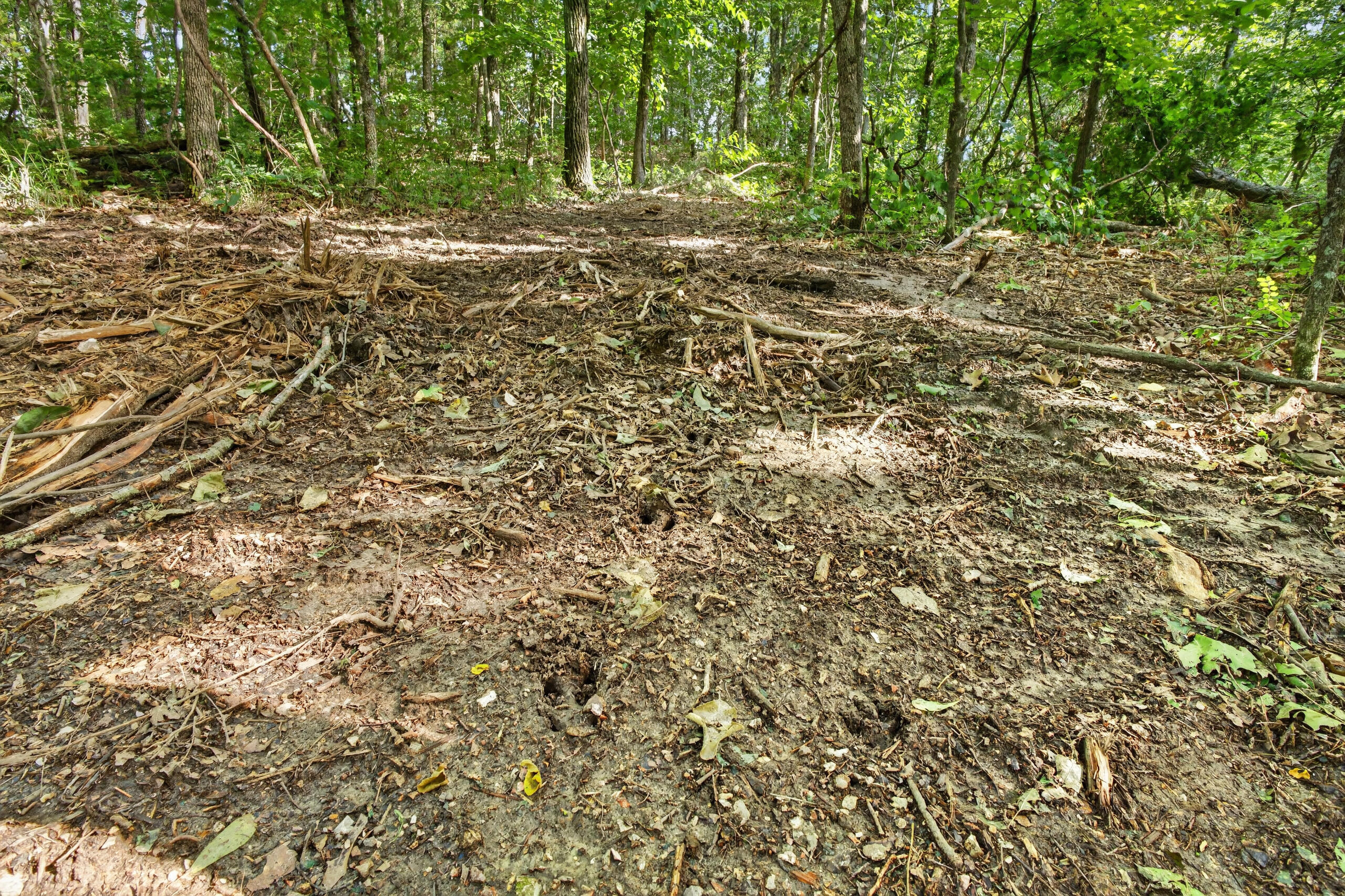006 Cantrell Road Property Photo 15