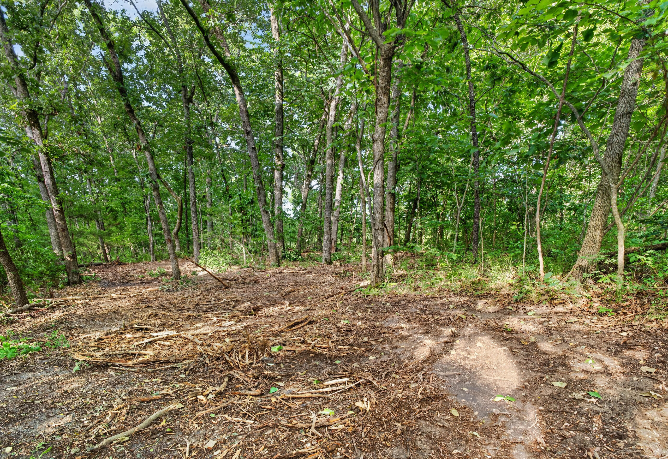 006 Cantrell Road Property Photo 16