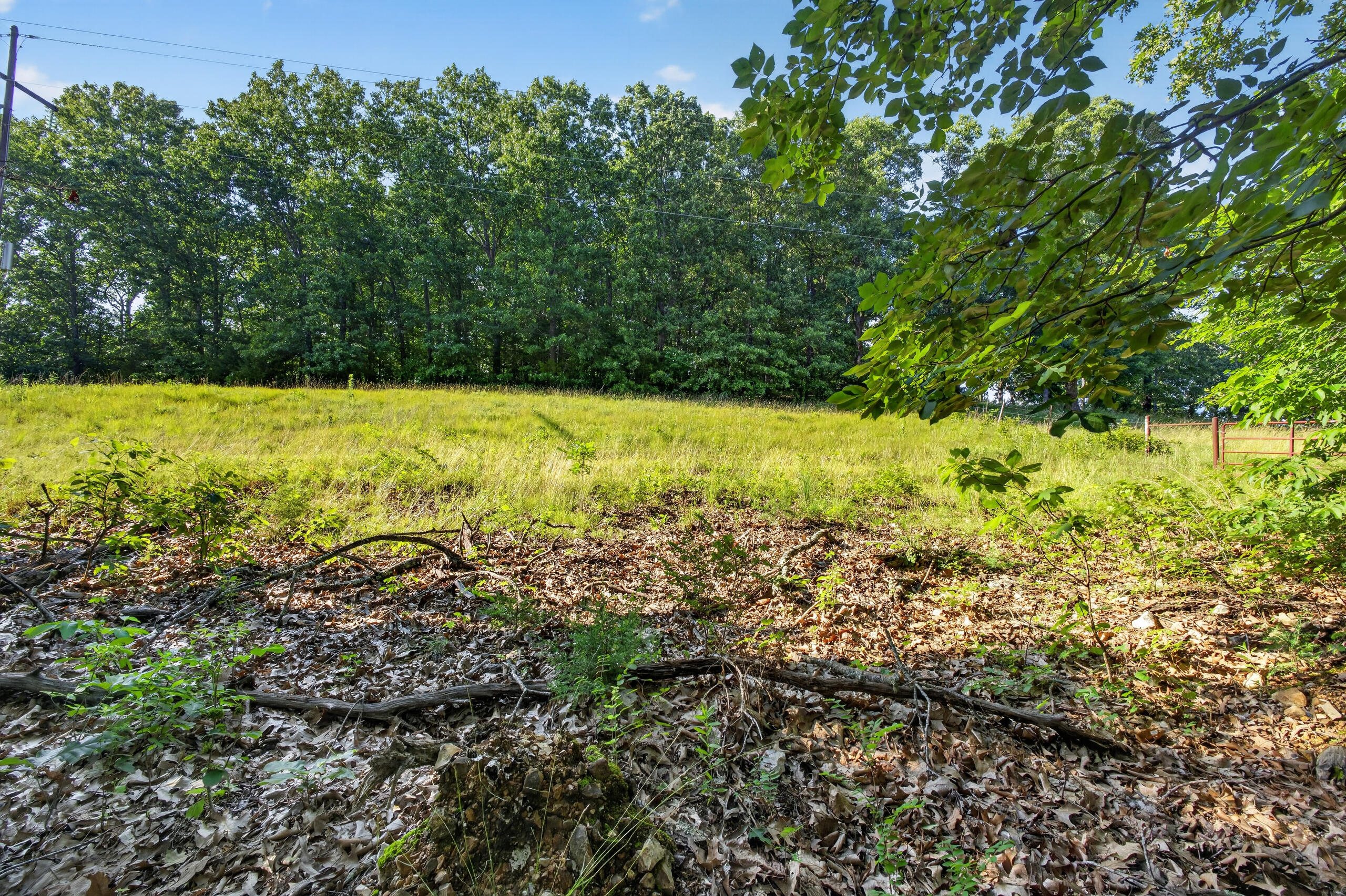 006 Cantrell Road Property Photo 20