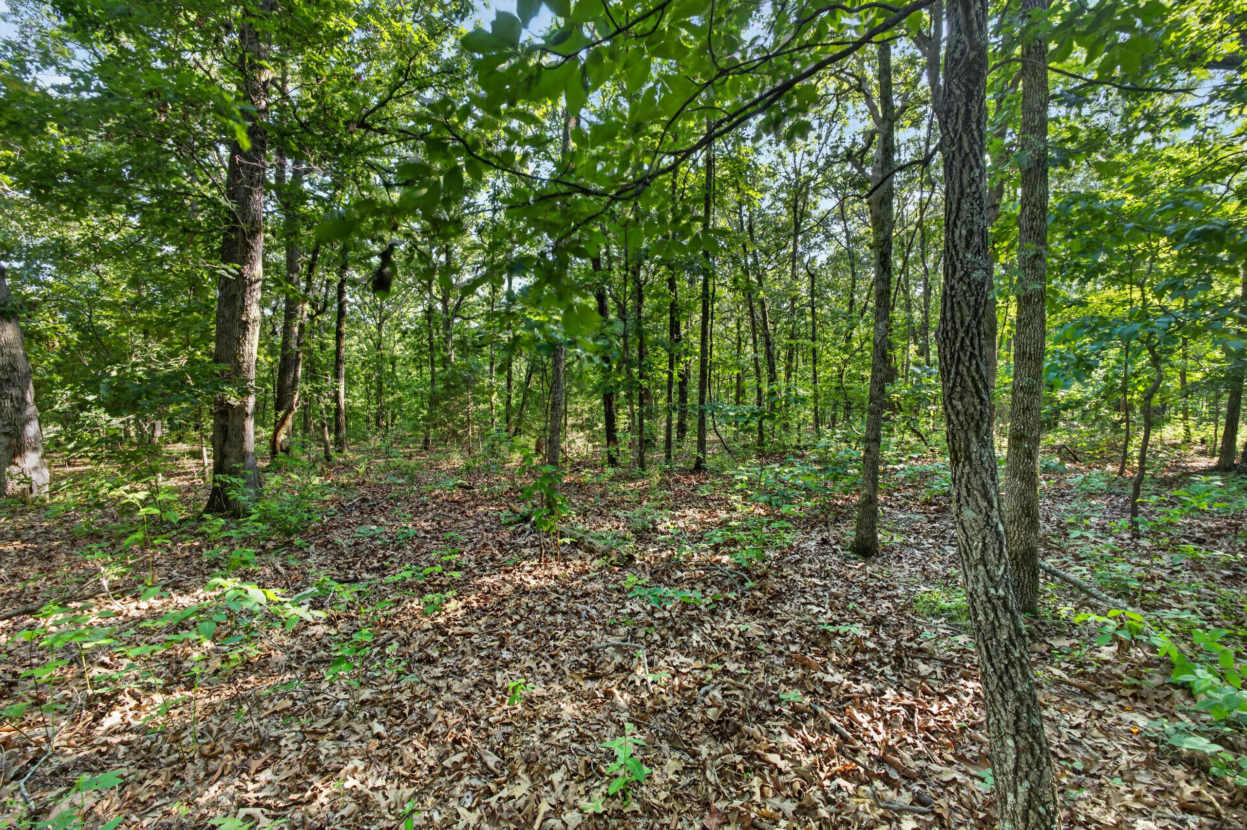 006 Cantrell Road Property Photo 22