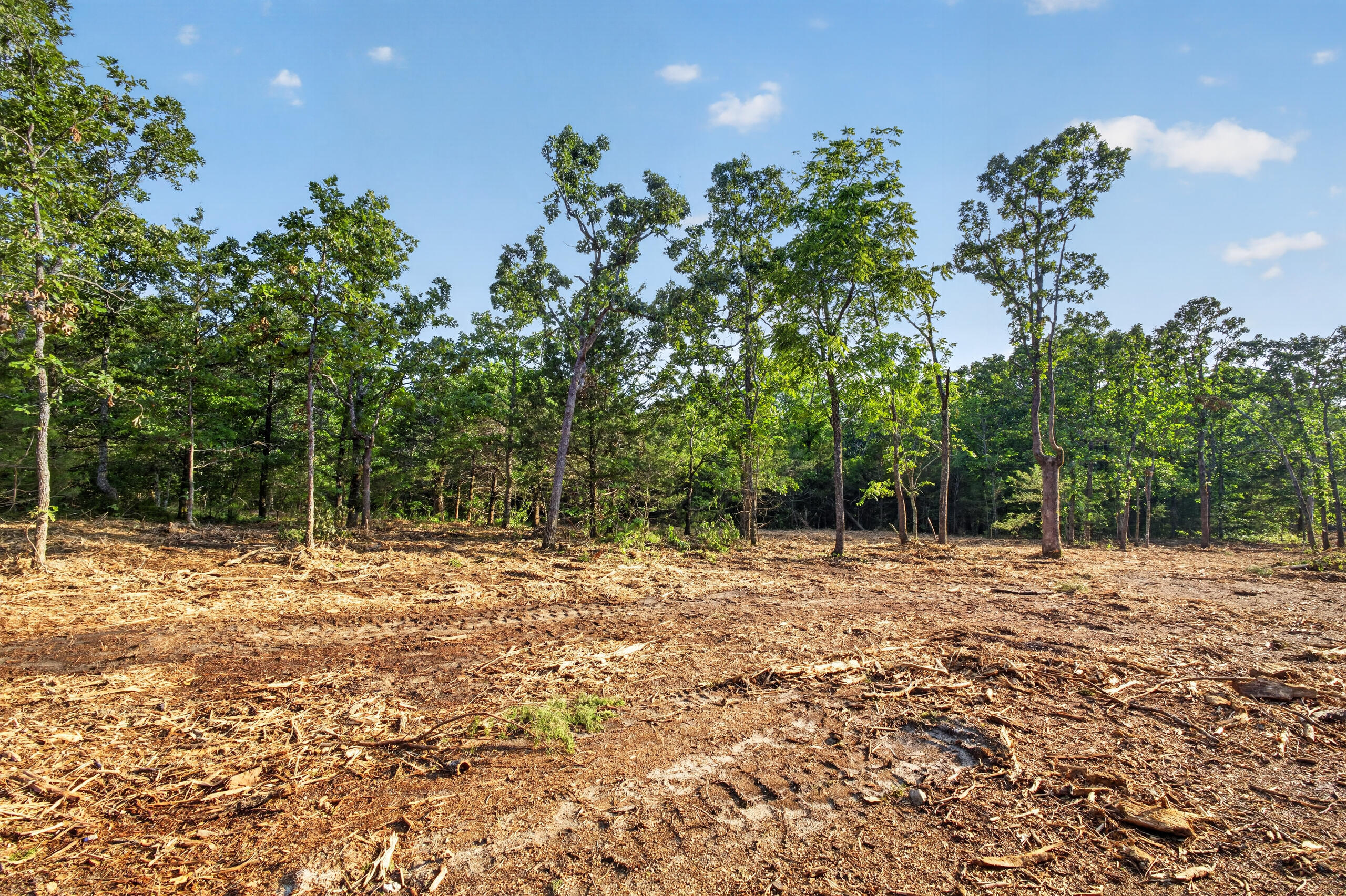005 Cantrell Road Property Photo 2