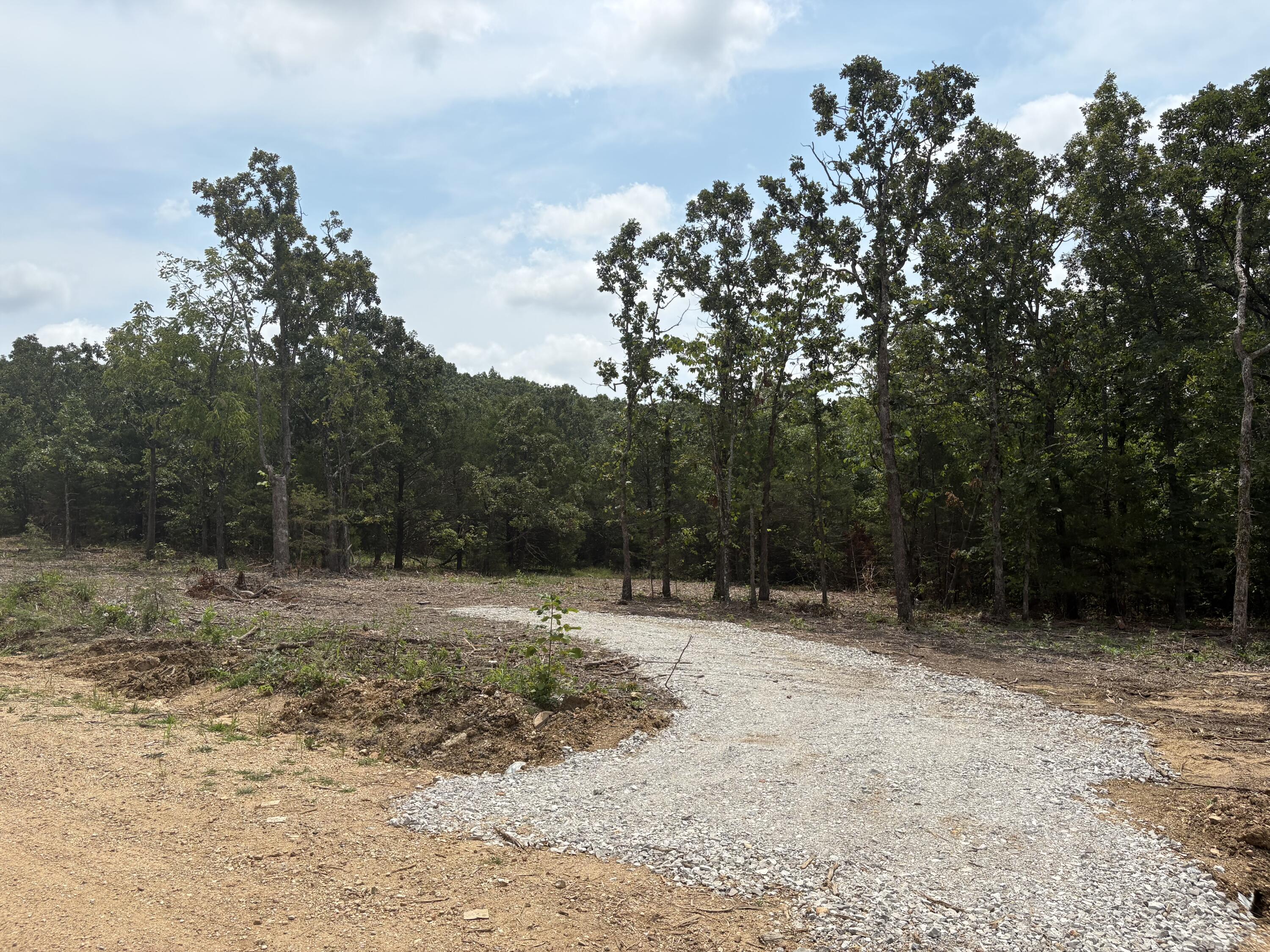 005 Cantrell Road Property Photo 3