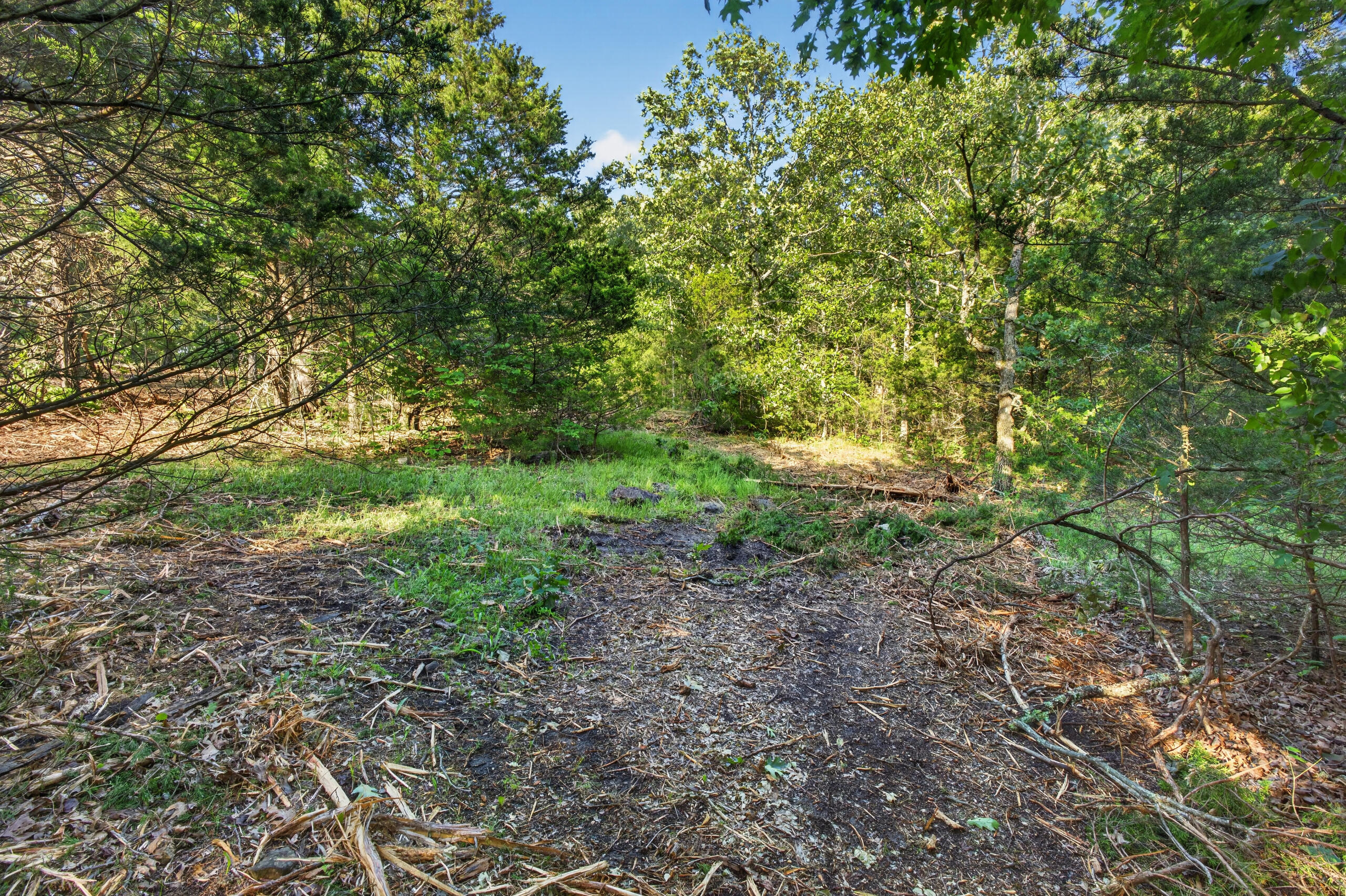 005 Cantrell Road Property Photo 6