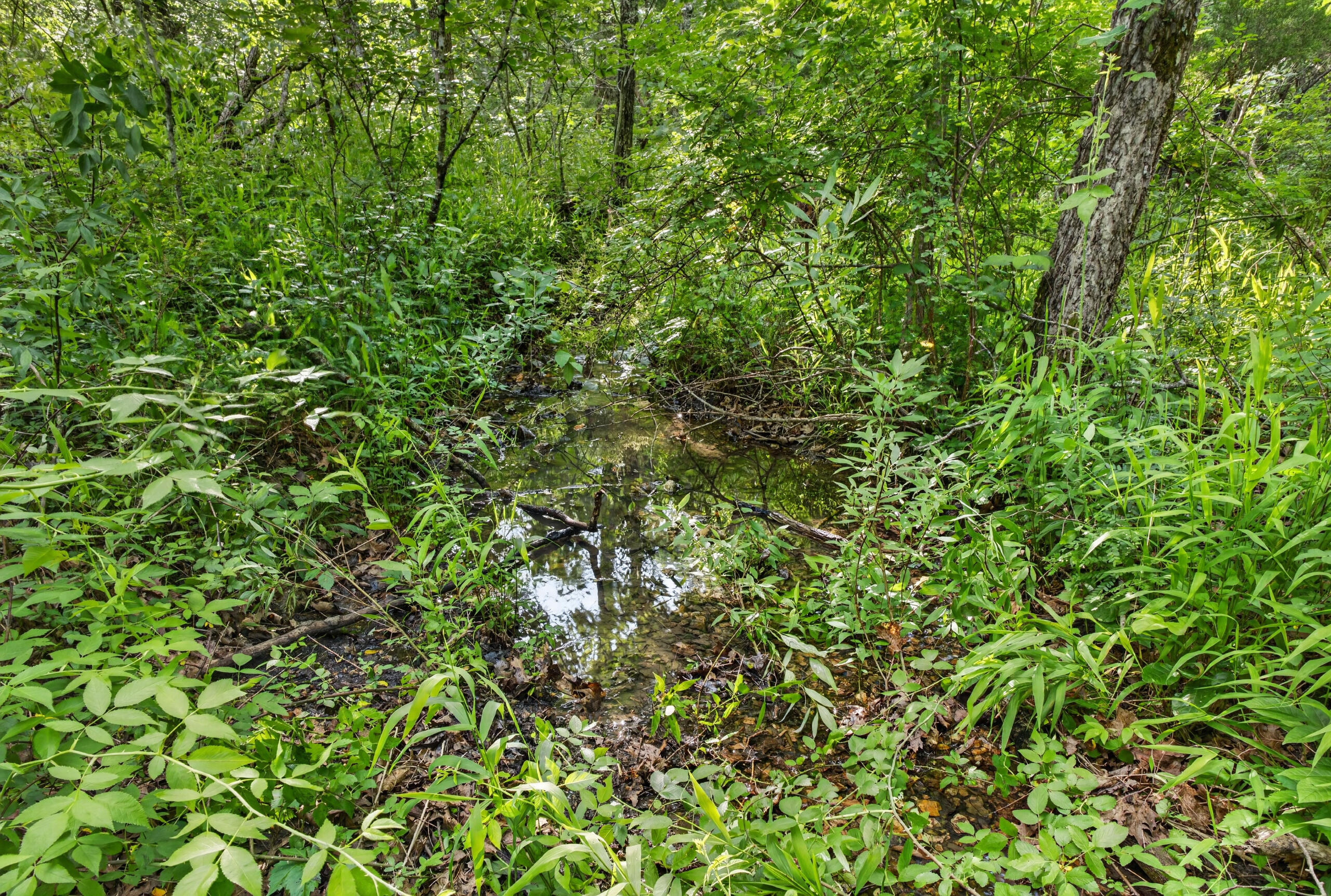 005 Cantrell Road Property Photo 8